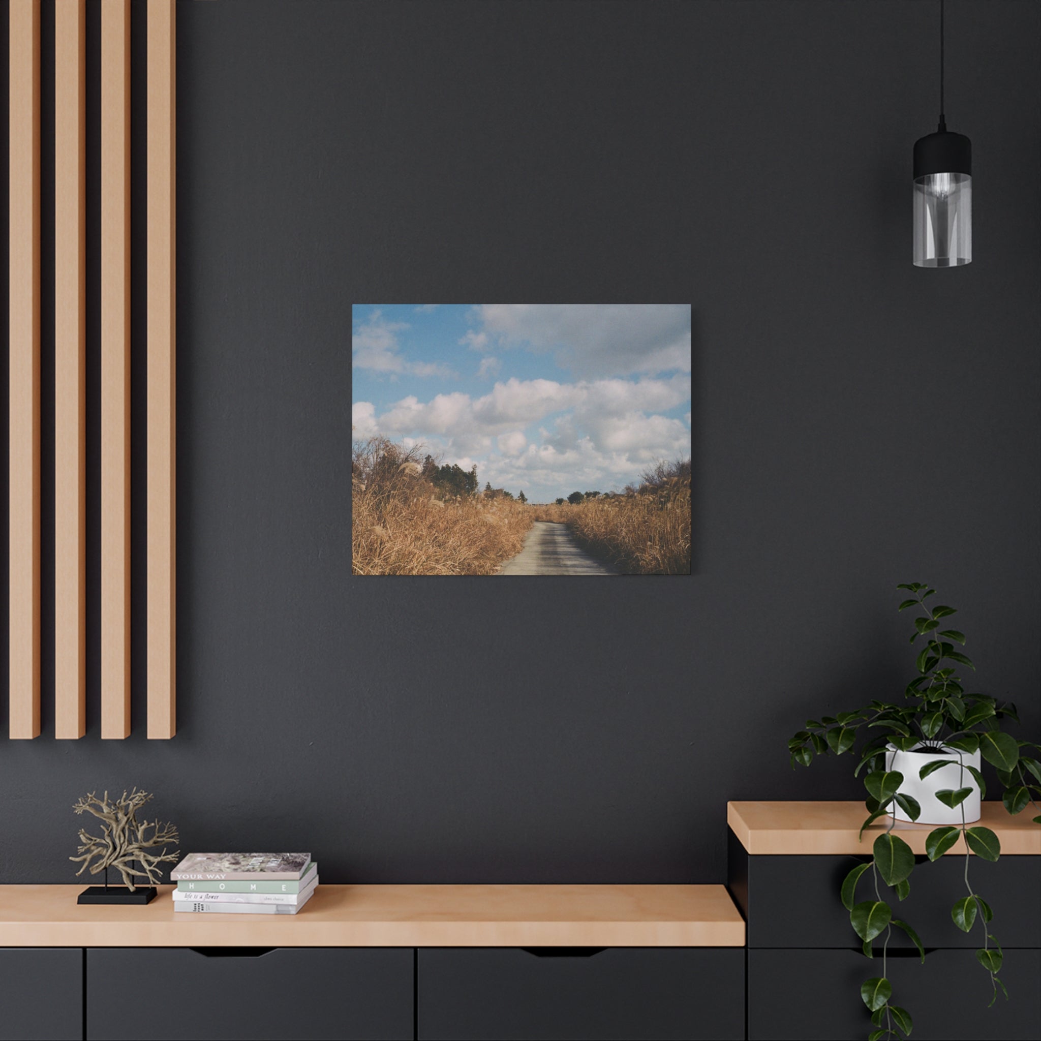 Jeju Gotjawal Winter Silver Grass Canvas Print