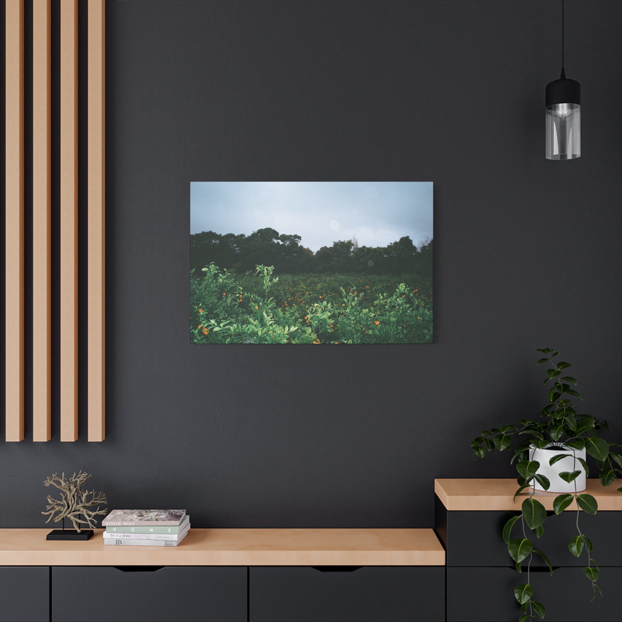 Jeju Winter Snowy Tangerine Orchard Canvas Print