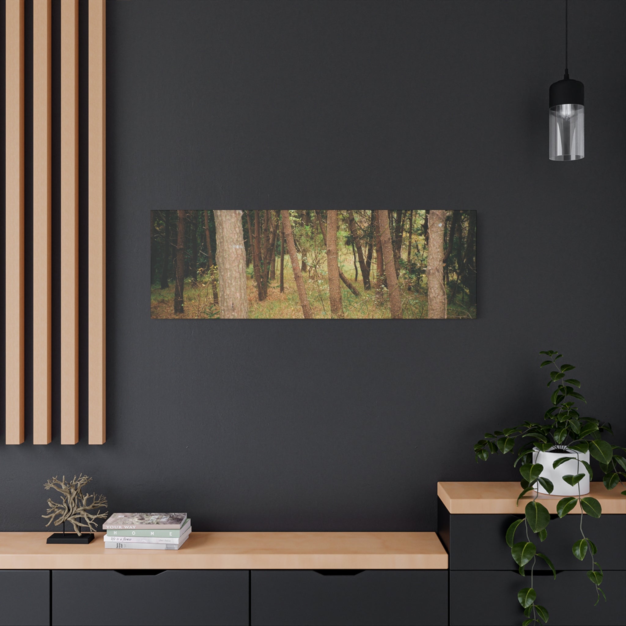 Jeju Gungdae Oreum Forest Canvas Print