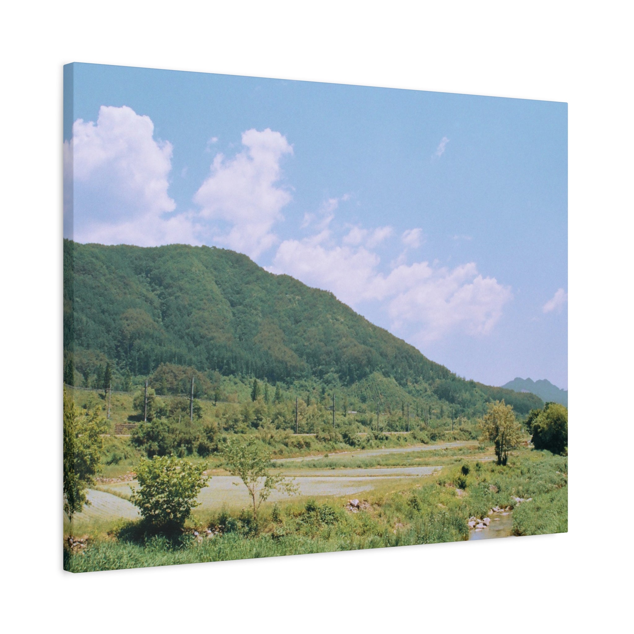 Wonju Spring Stream Pastel Landscape Canvas Print