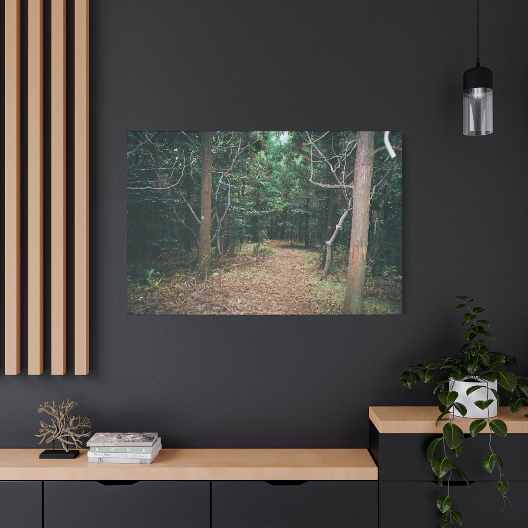 Jeju Winter Oreum Forest Canvas Print