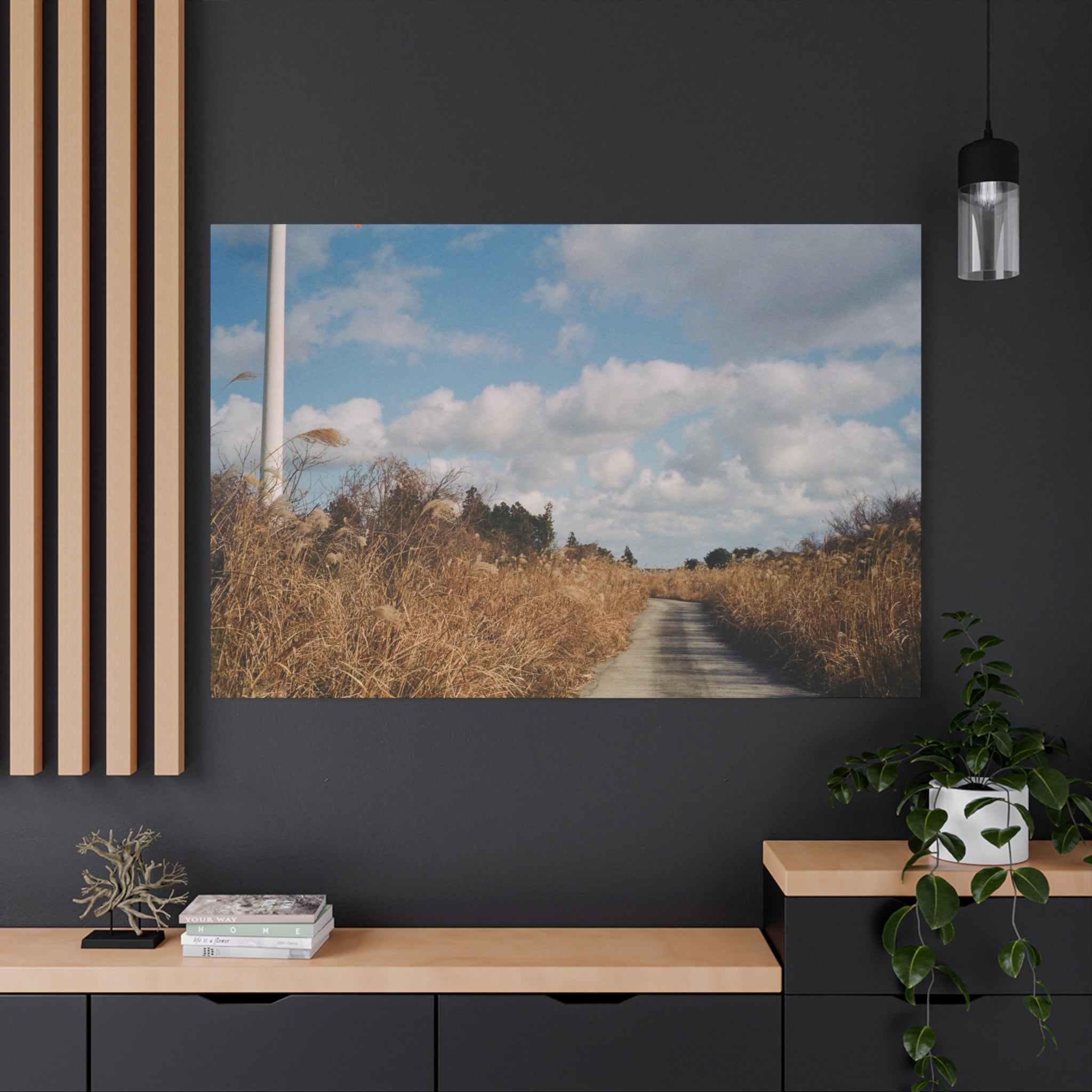 Jeju Gotjawal Winter Silver Grass Canvas Print