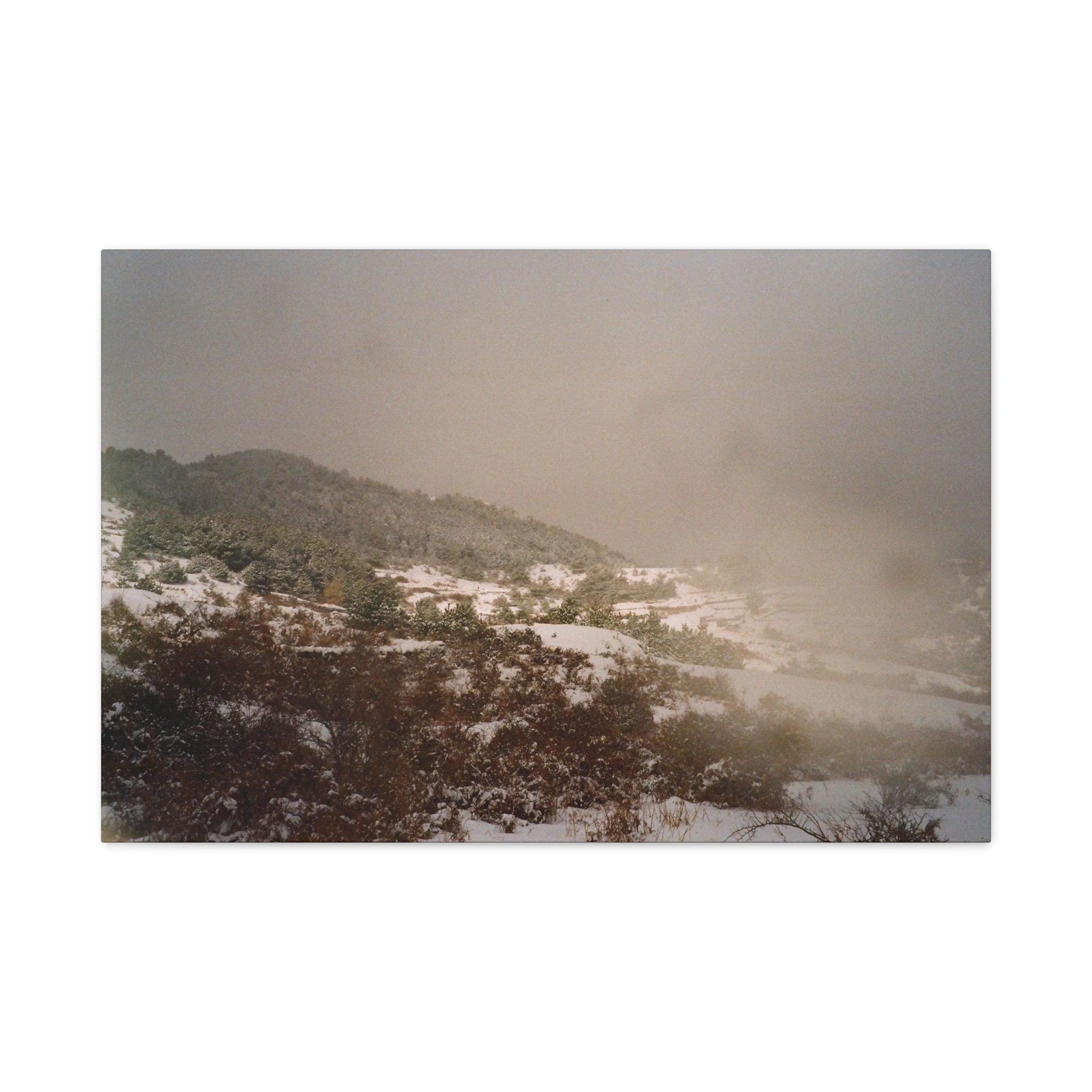 Jeju Snowy Oreum Winter Canvas Print — Evergreen Pine Forest on Snowy Day (Matte Stretched)