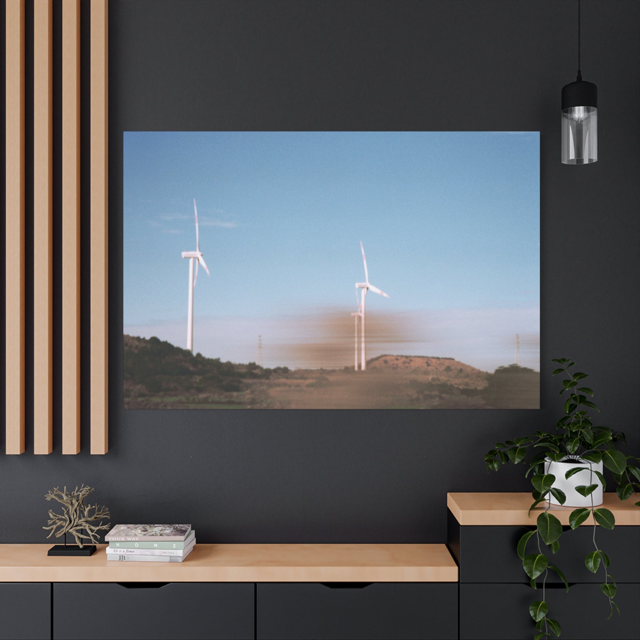 Jeju Winter Silver Grass Canvas Print