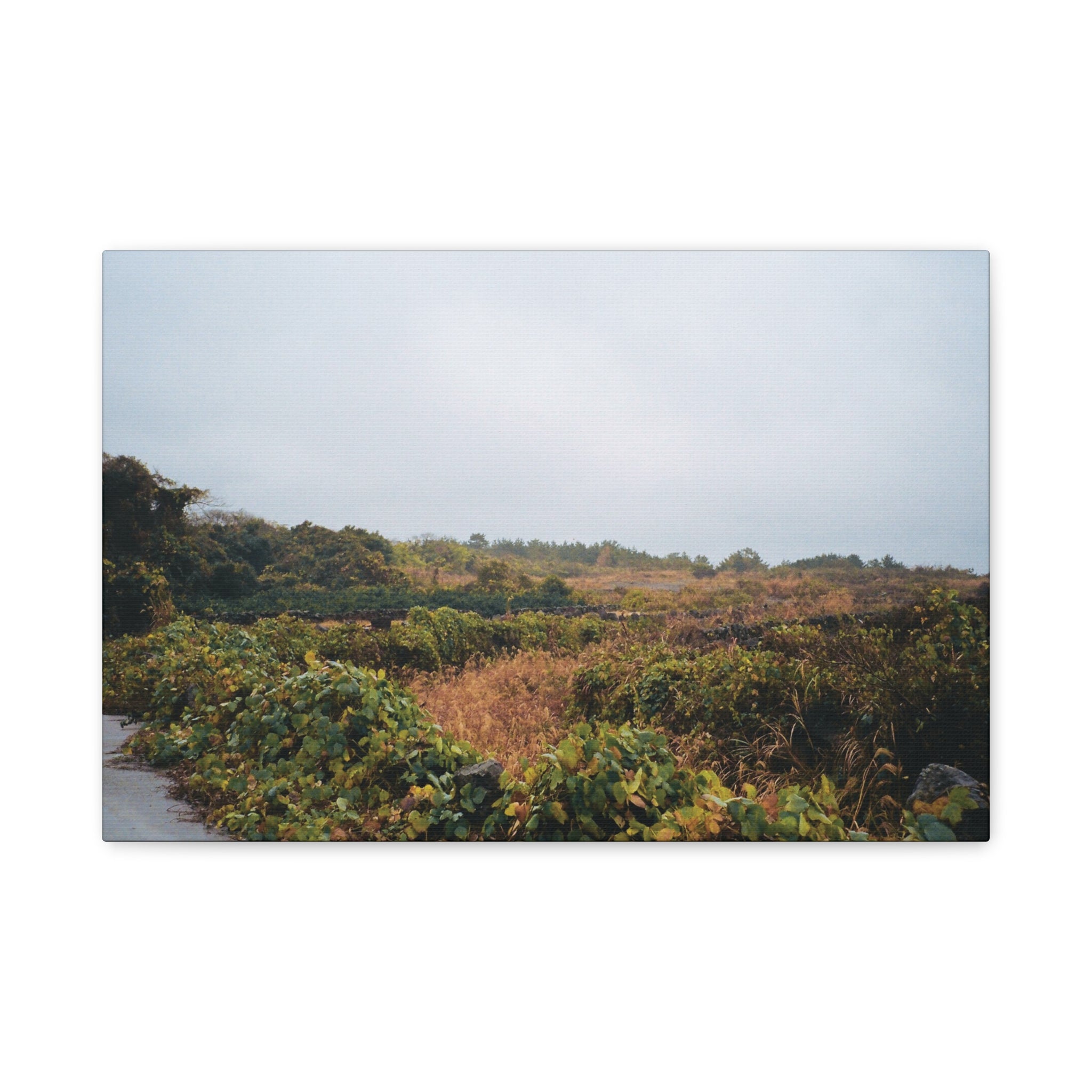 Jeju Rainy Countryside Path Canvas Print — Matte Stretched Wall Art
