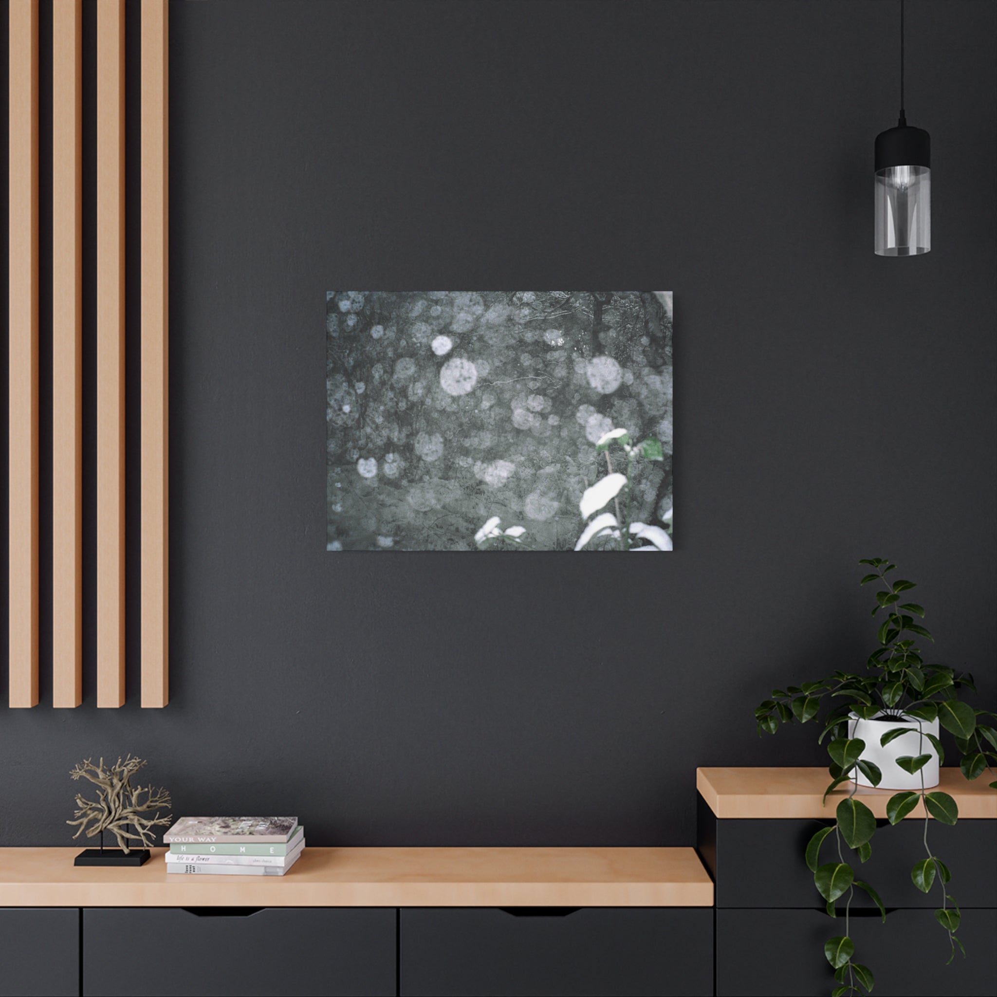 Jeju Snowy Gotjawal Forest Canvas Print