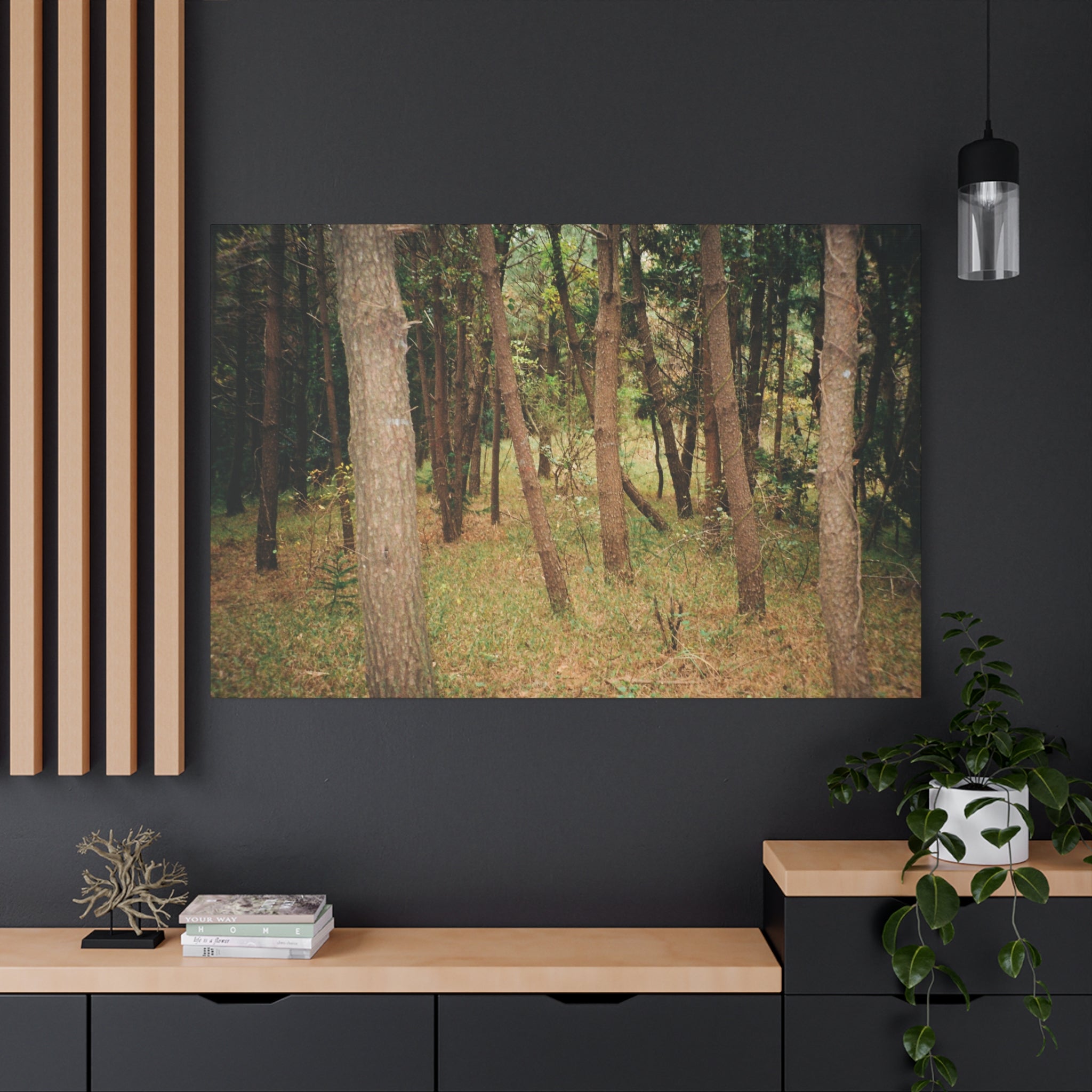 Jeju Gungdae Oreum Forest Canvas Print