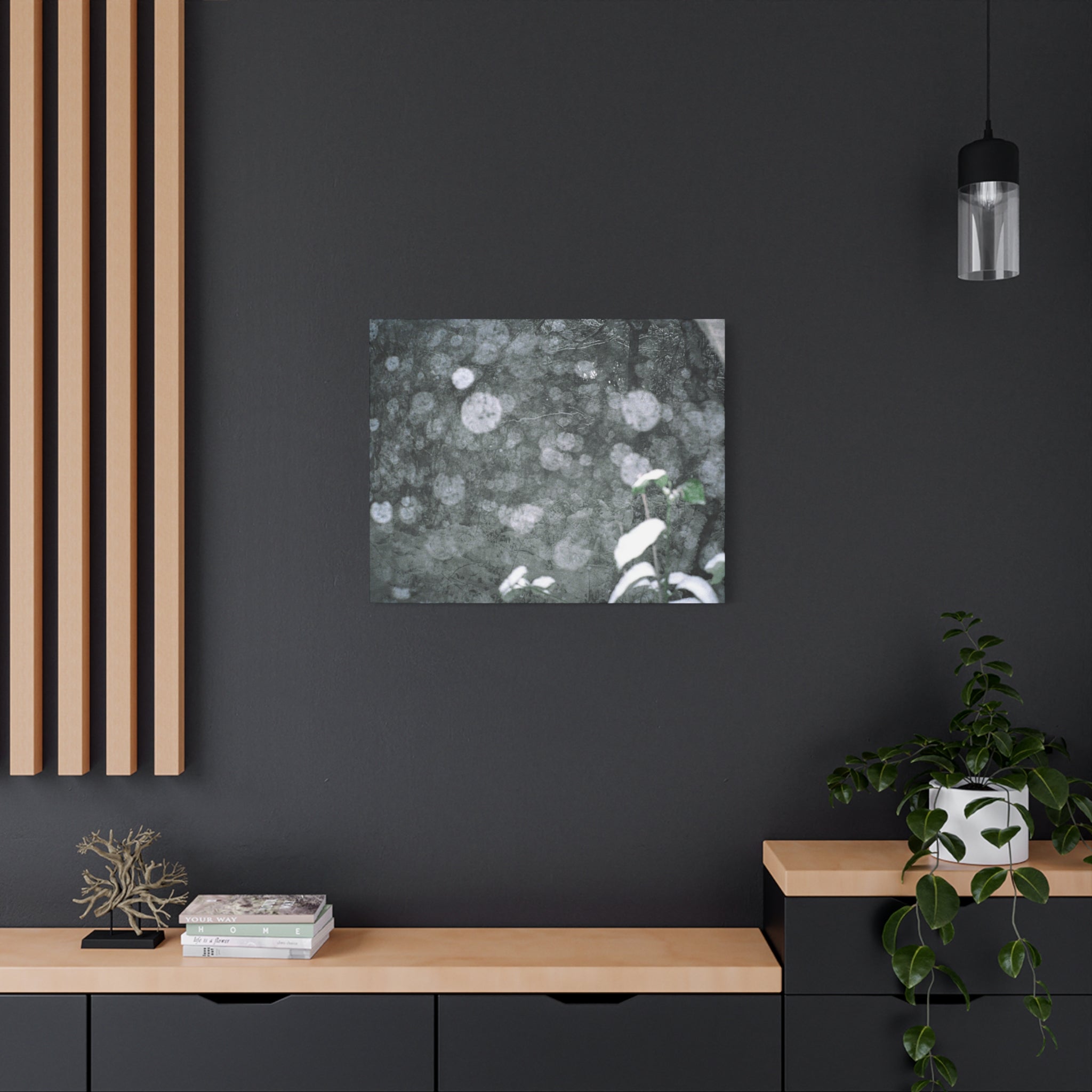 Jeju Snowy Gotjawal Forest Canvas Print