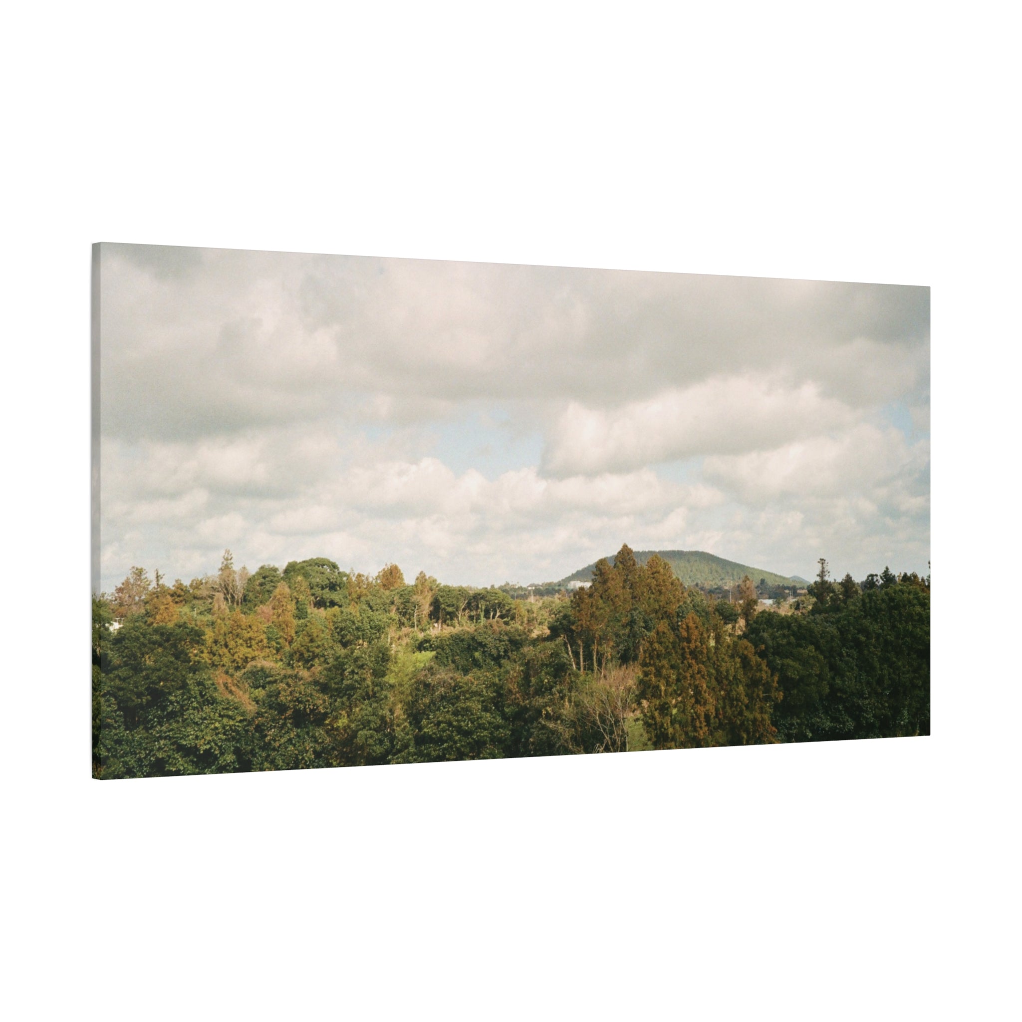 Jeju Wind-Swept Oreum and Clouds Canvas Print