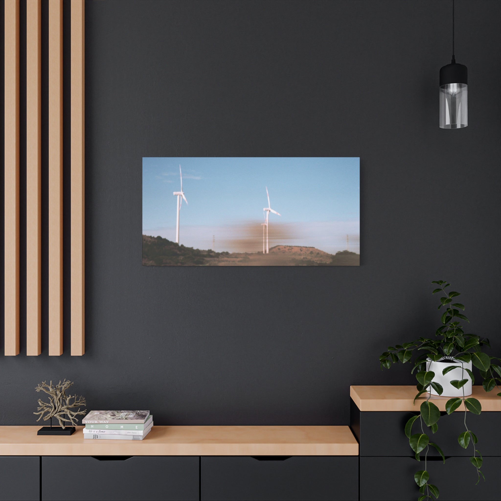 Jeju Winter Silver Grass Canvas Print