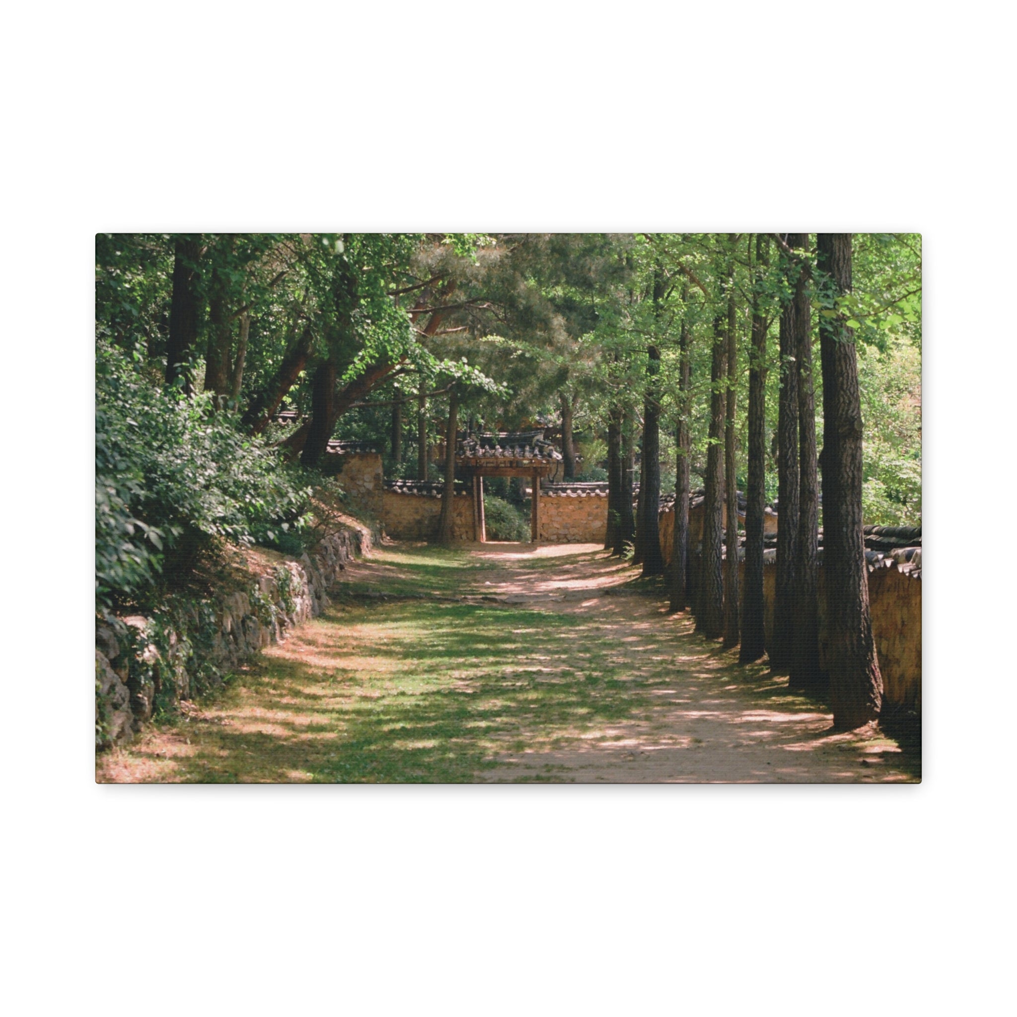 Korean Yongin Folk Village Hanok Lane Canvas Print