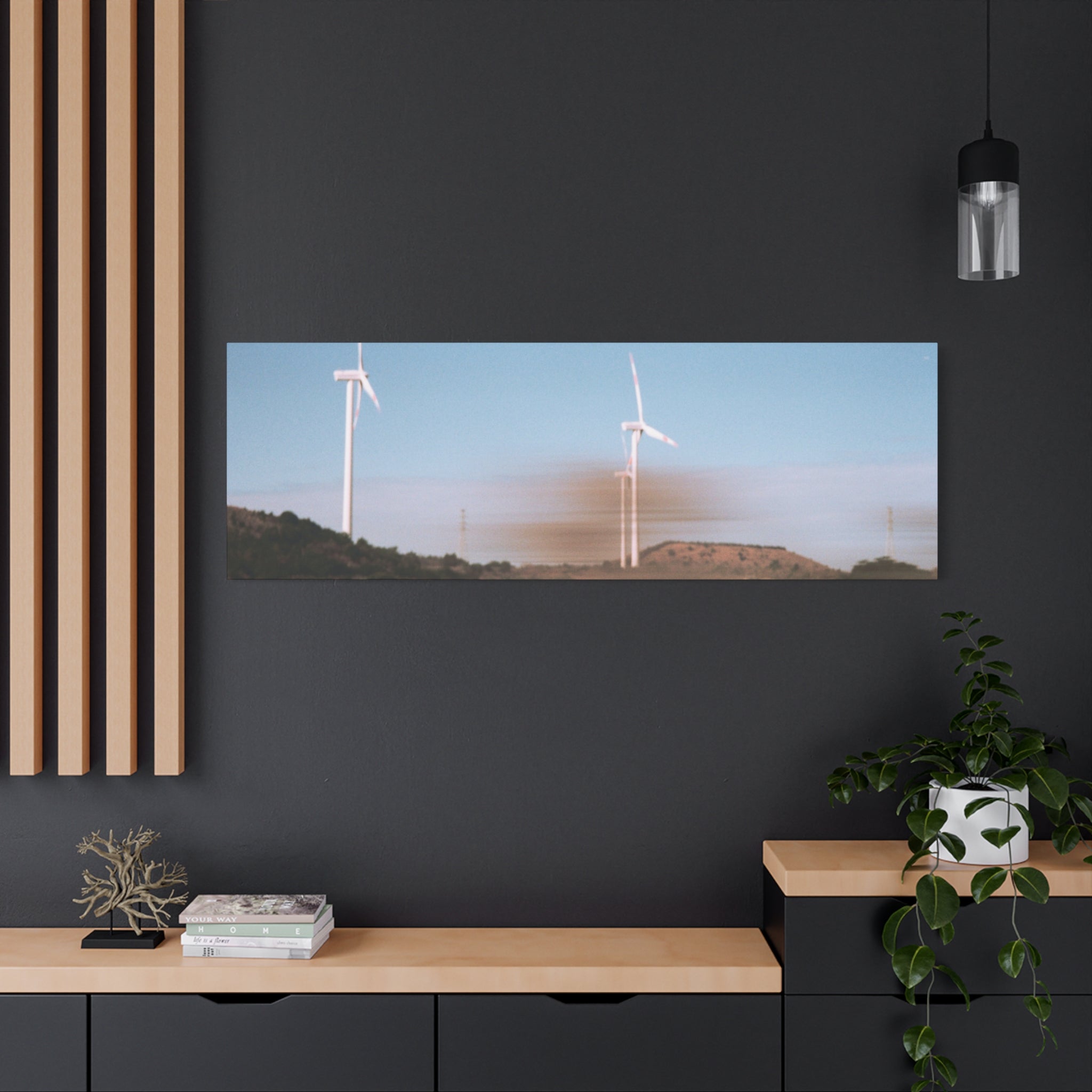 Jeju Winter Silver Grass Canvas Print