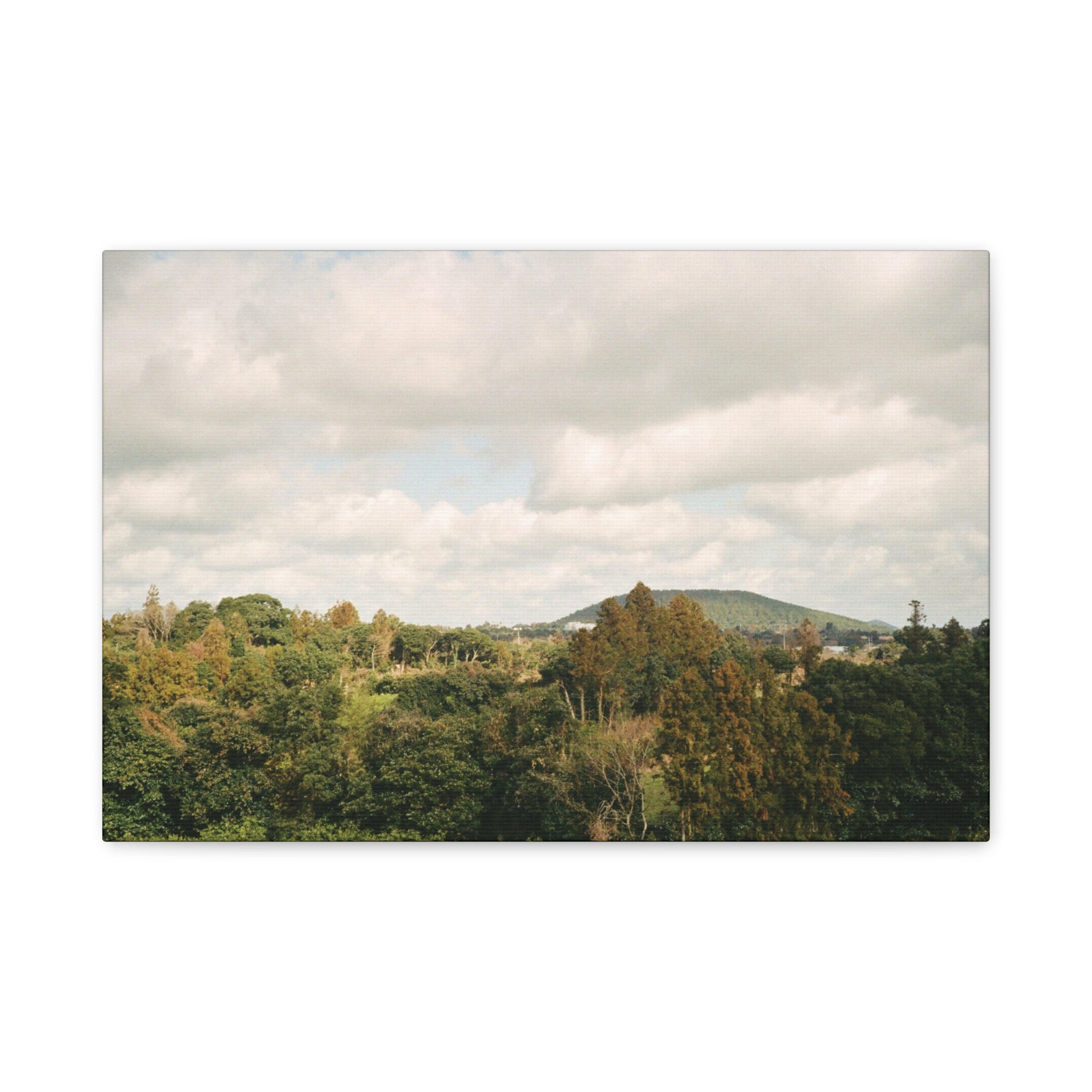 Jeju Wind-Swept Oreum and Clouds Canvas Print