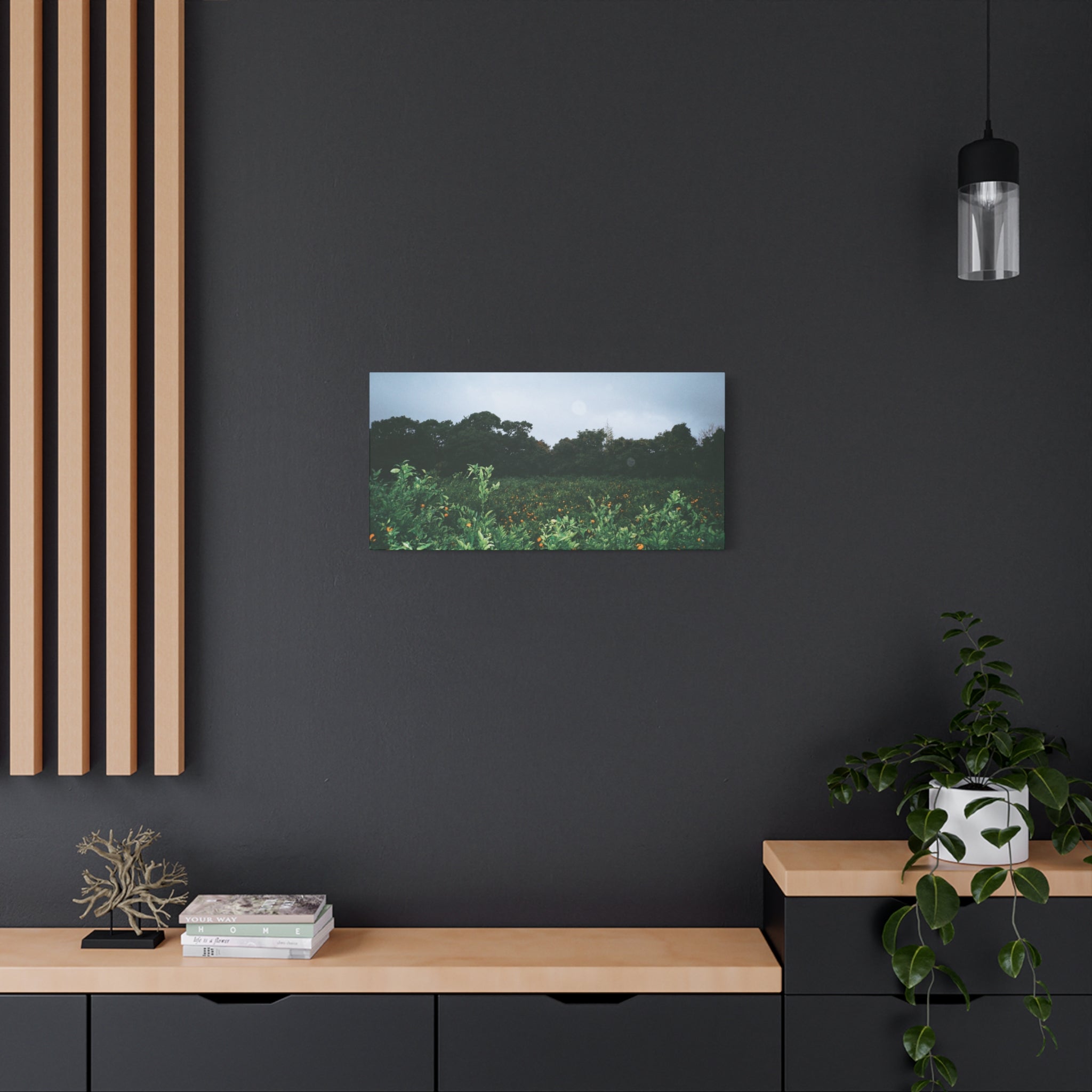 Jeju Winter Snowy Tangerine Orchard Canvas Print