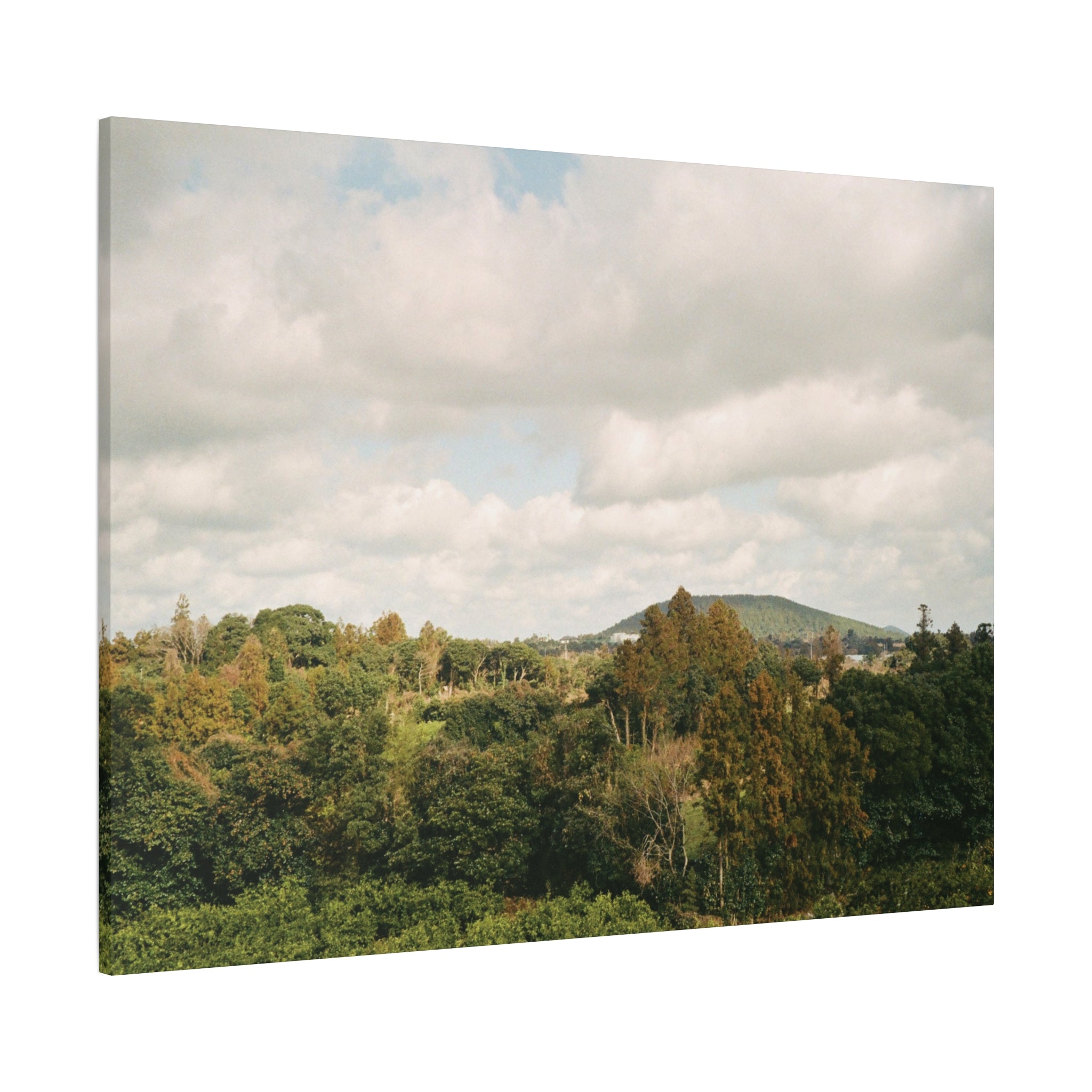 Jeju Wind-Swept Oreum and Clouds Canvas Print