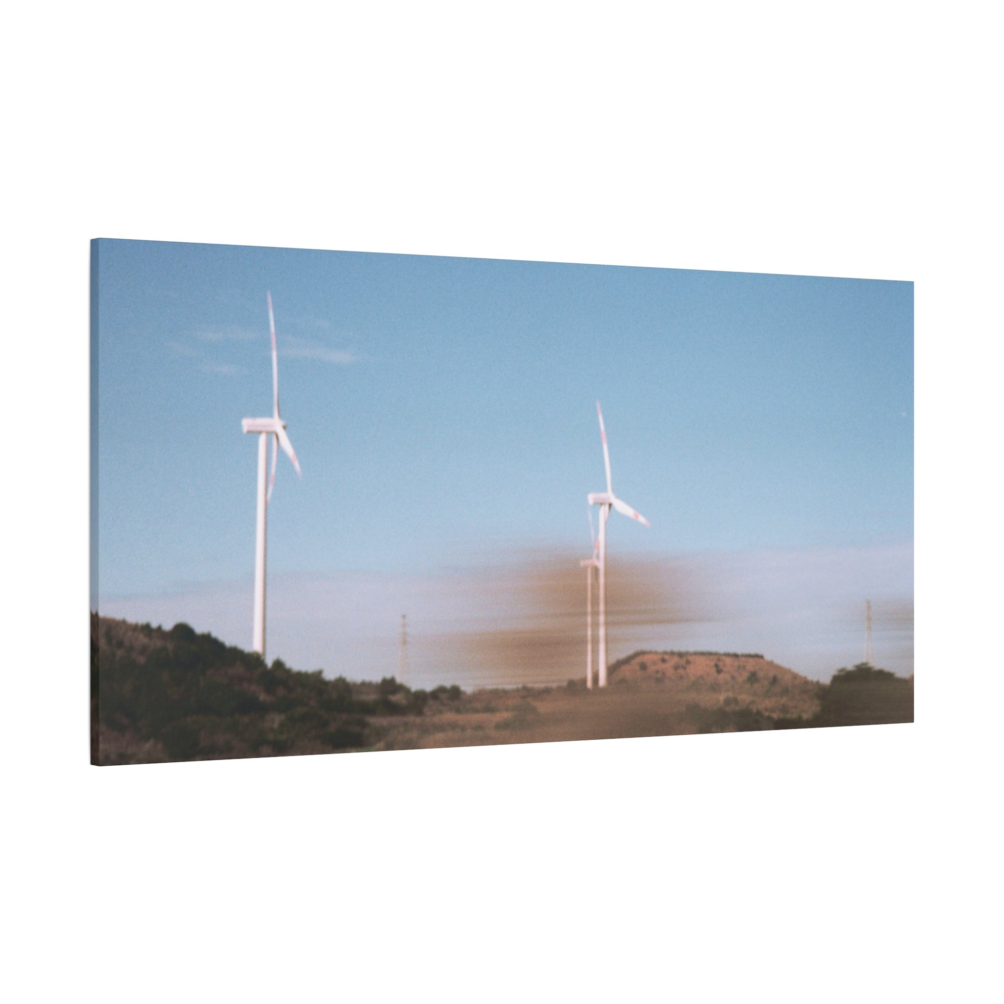 Jeju Winter Silver Grass Canvas Print