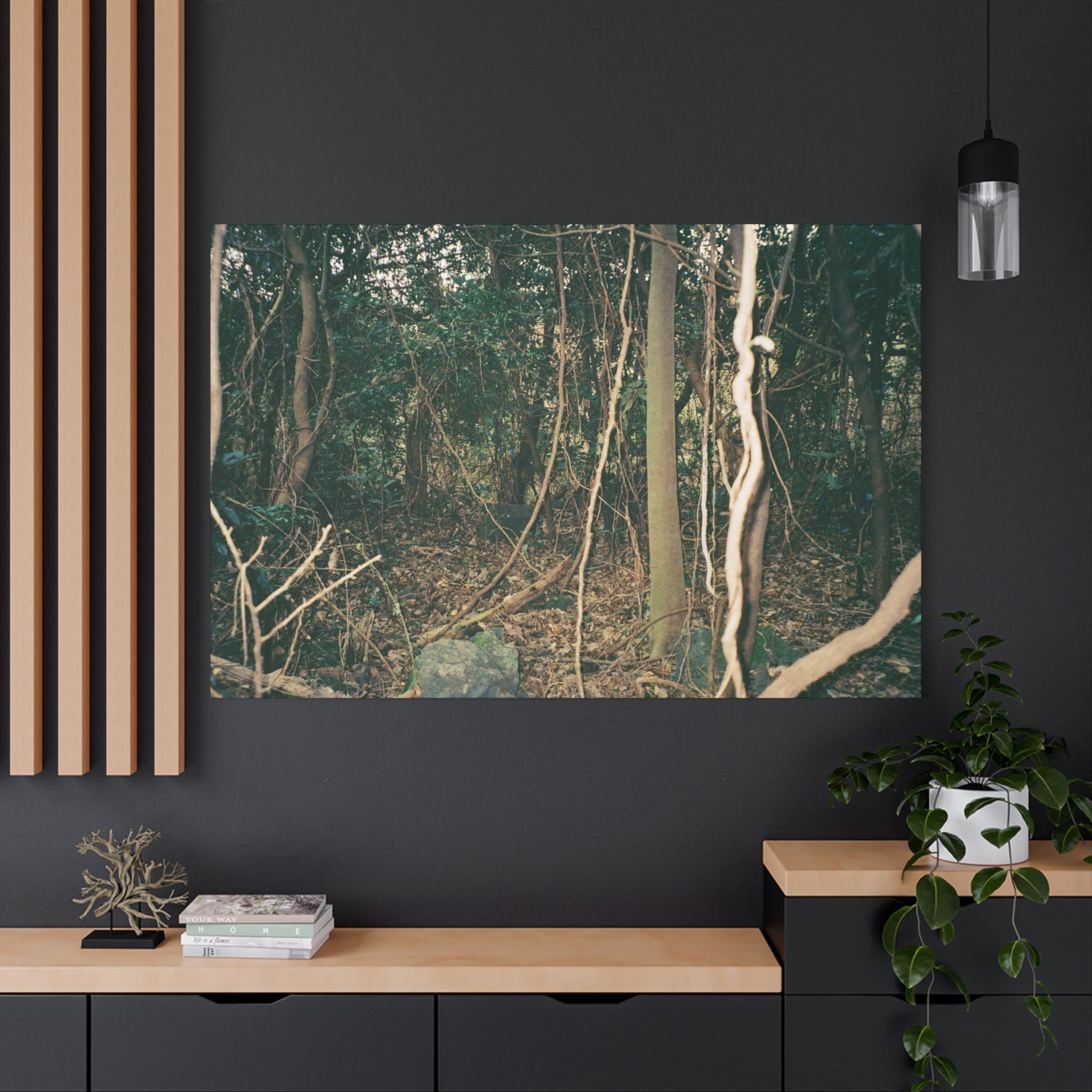 Jeju Gotjawal Forest Canvas Print