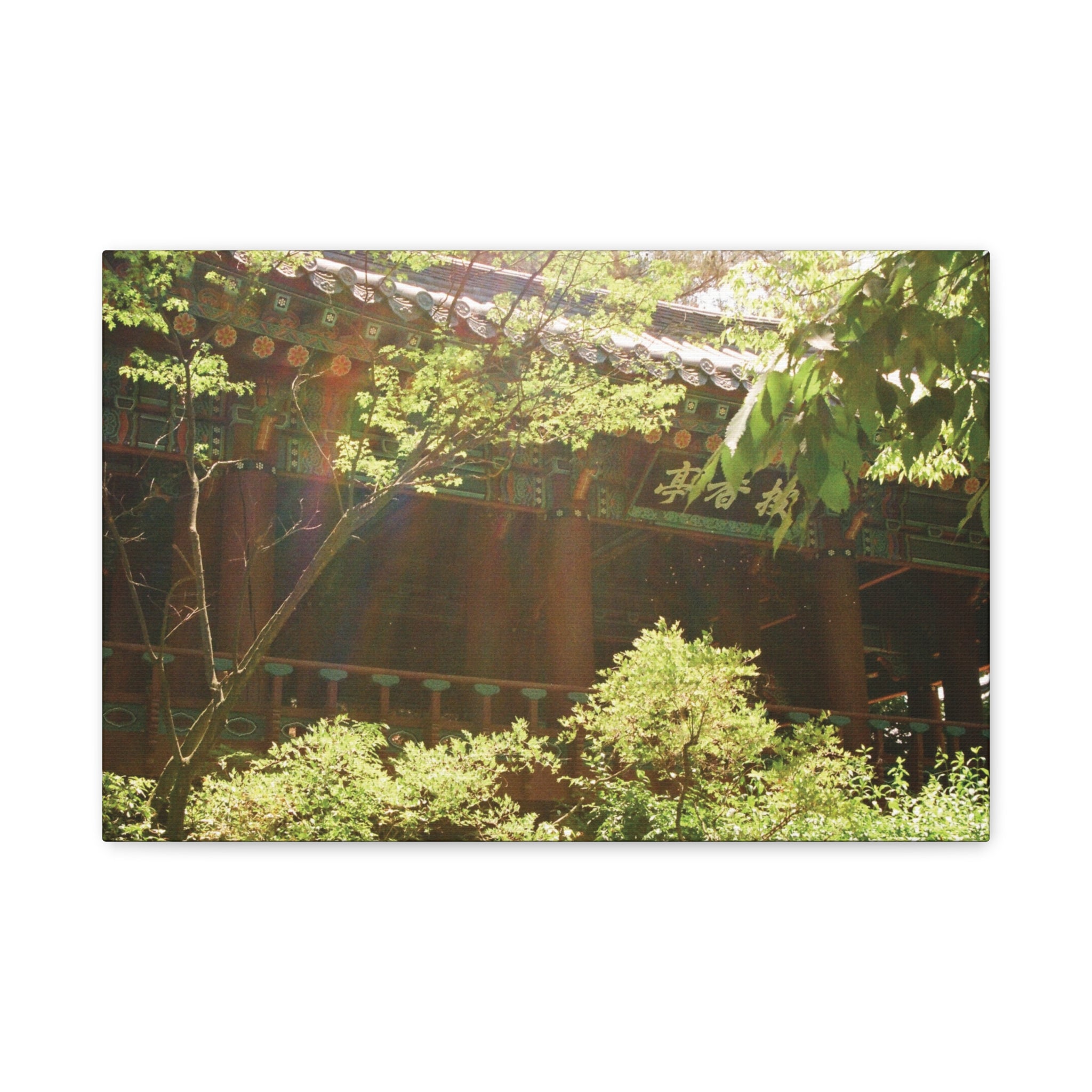 Korean Hanok Spring Sunshine Canvas Print