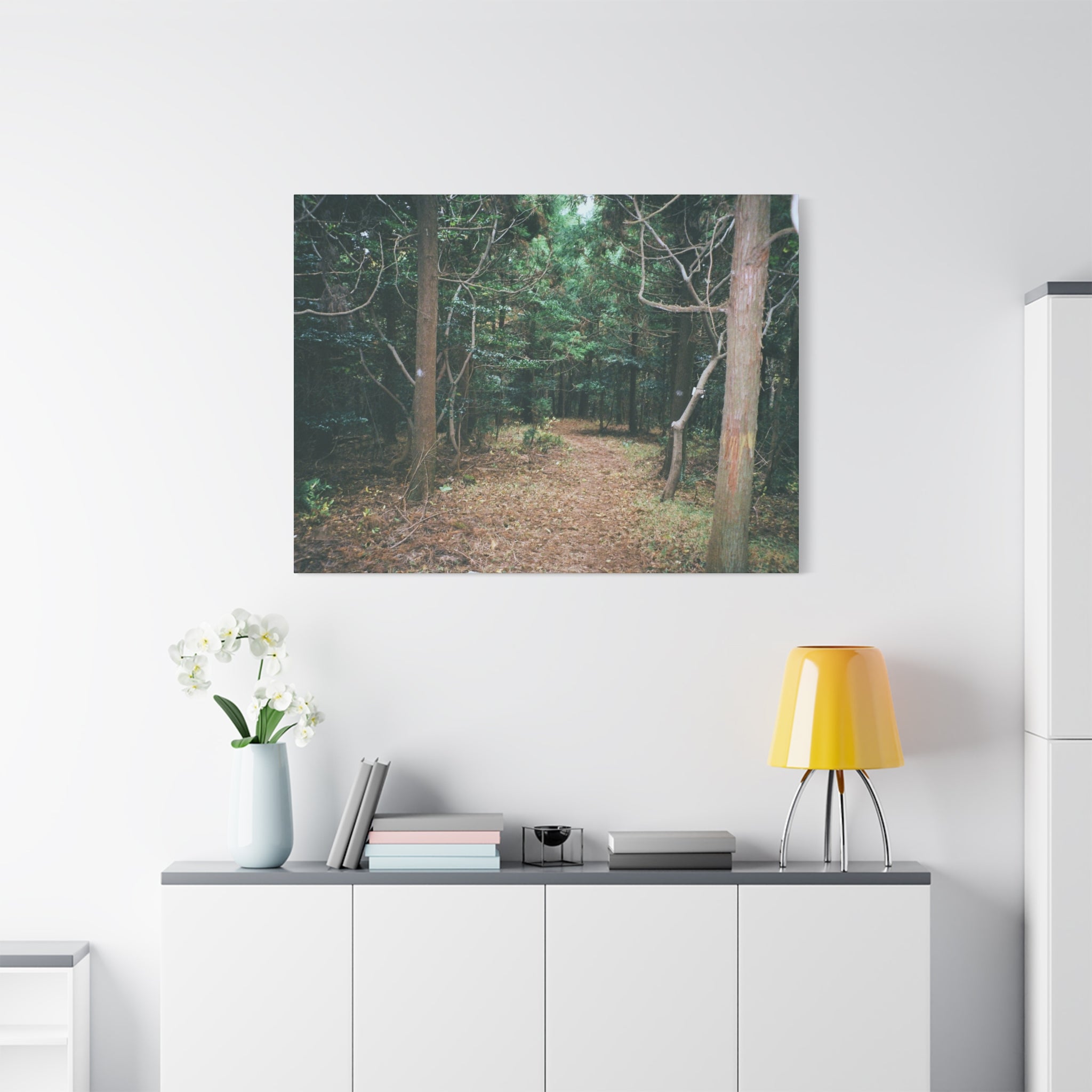 Jeju Winter Oreum Forest Canvas Print