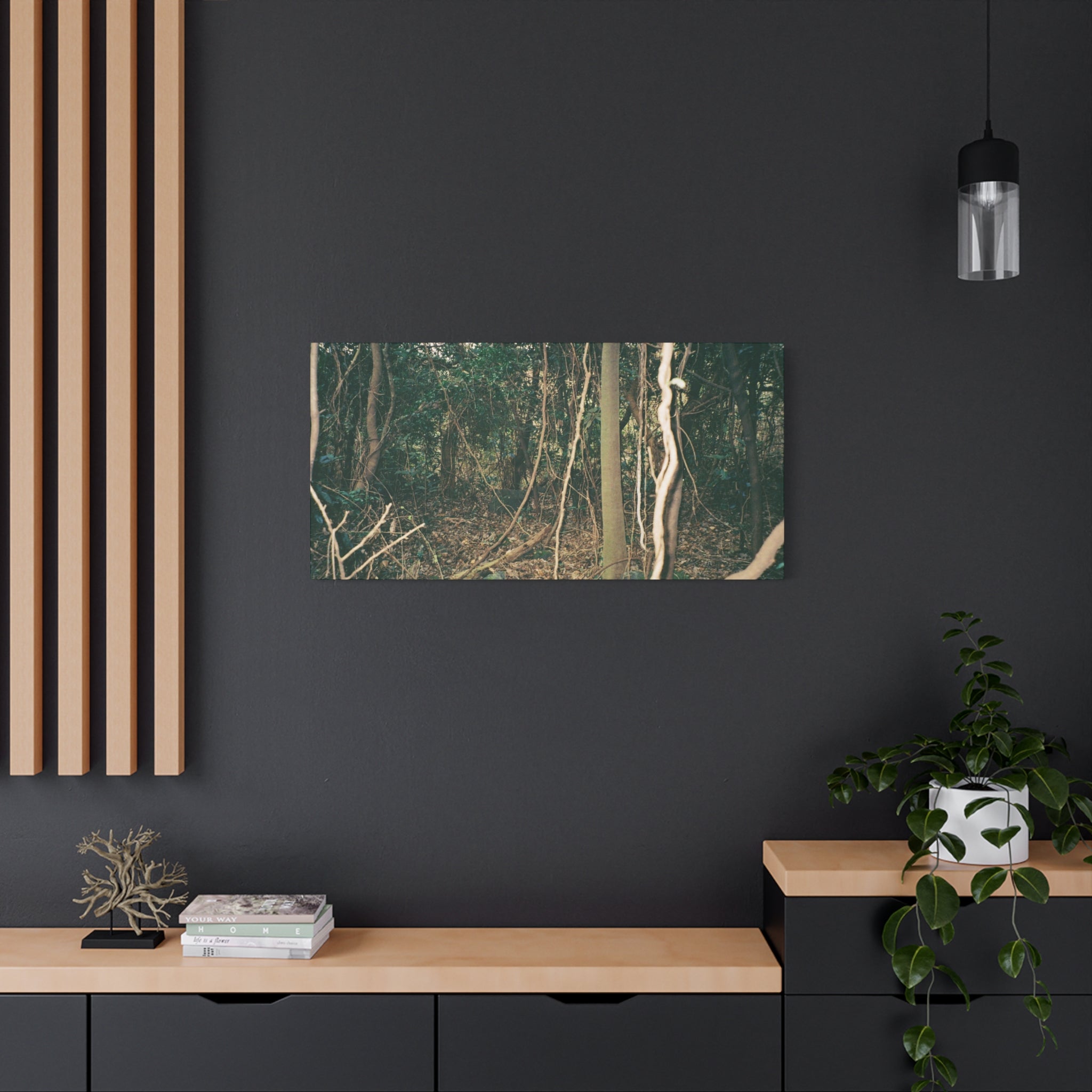 Jeju Gotjawal Forest Canvas Print