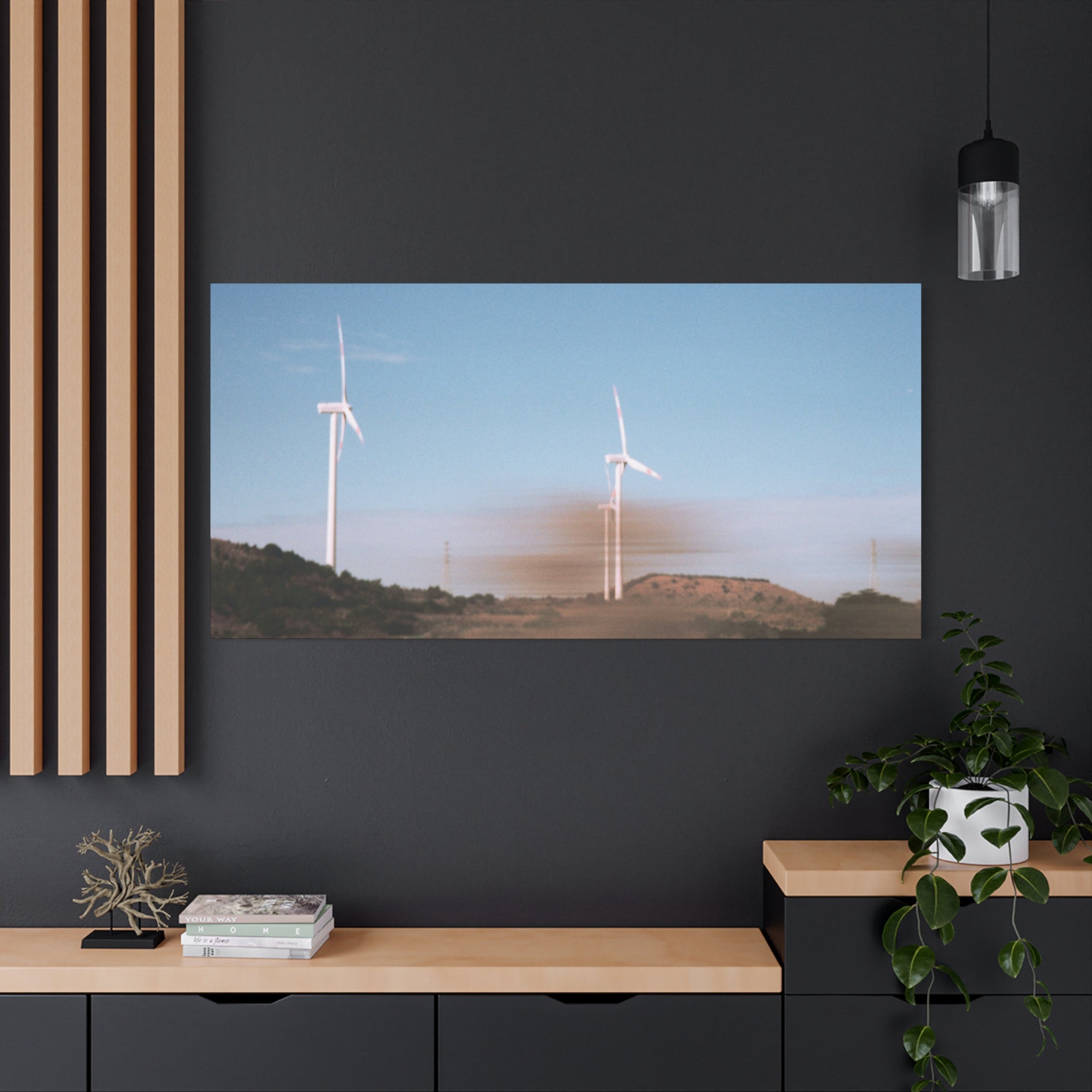 Jeju Winter Silver Grass Canvas Print