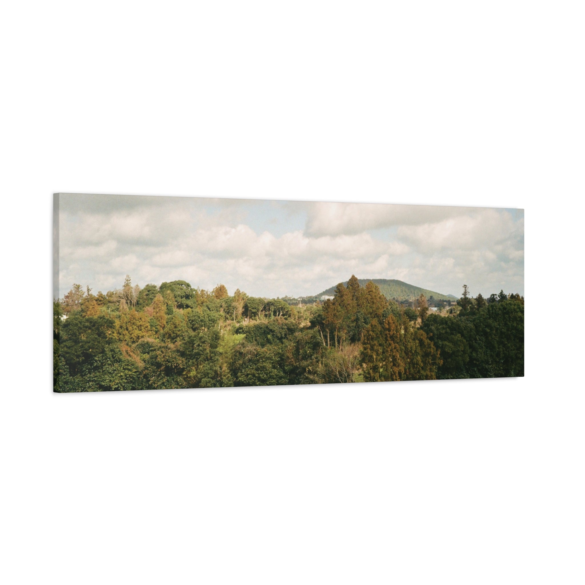 Jeju Wind-Swept Oreum and Clouds Canvas Print