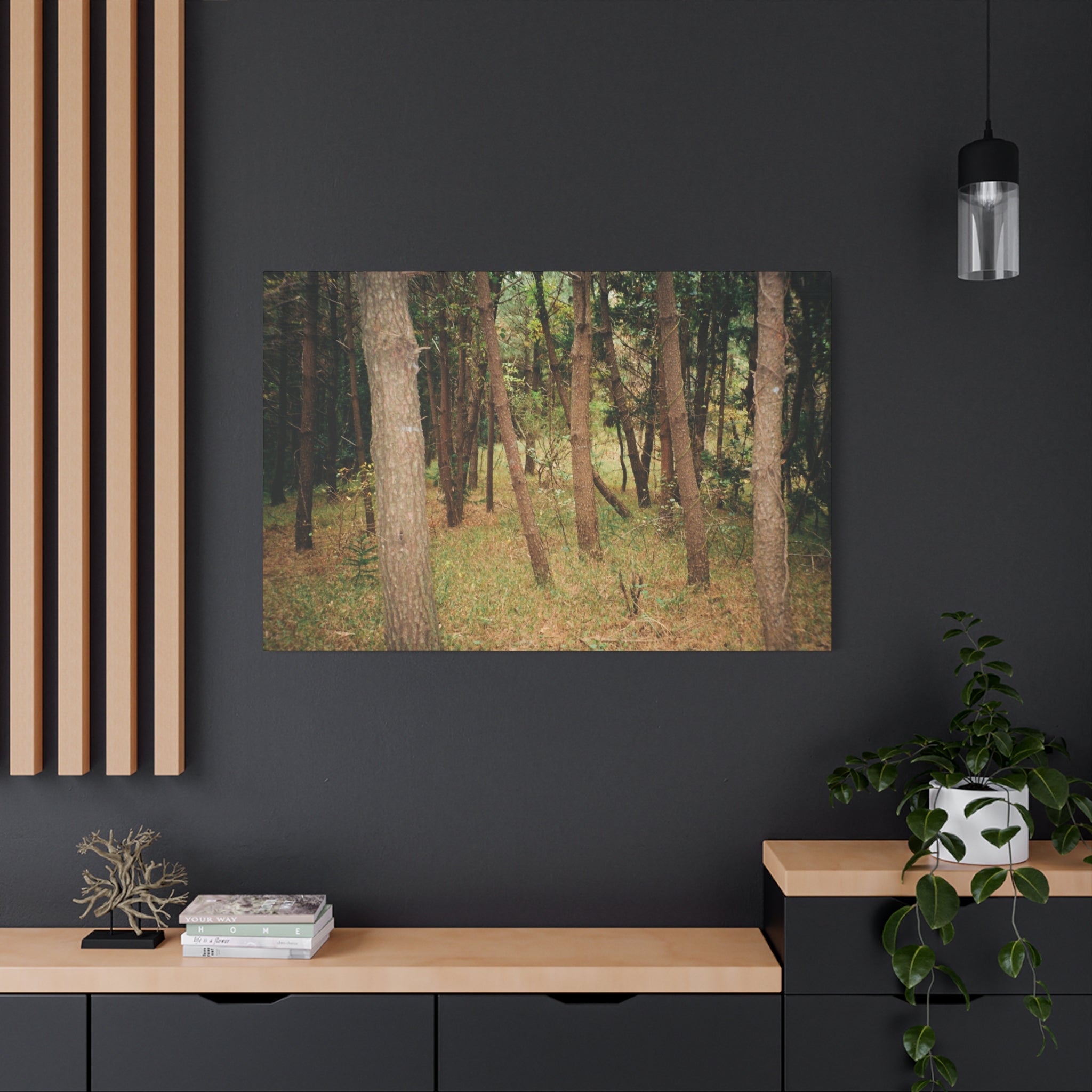 Jeju Gungdae Oreum Forest Canvas Print