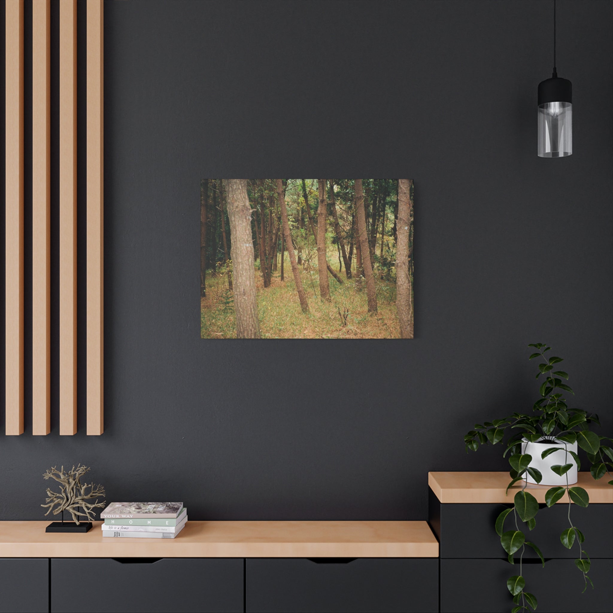 Jeju Gungdae Oreum Forest Canvas Print