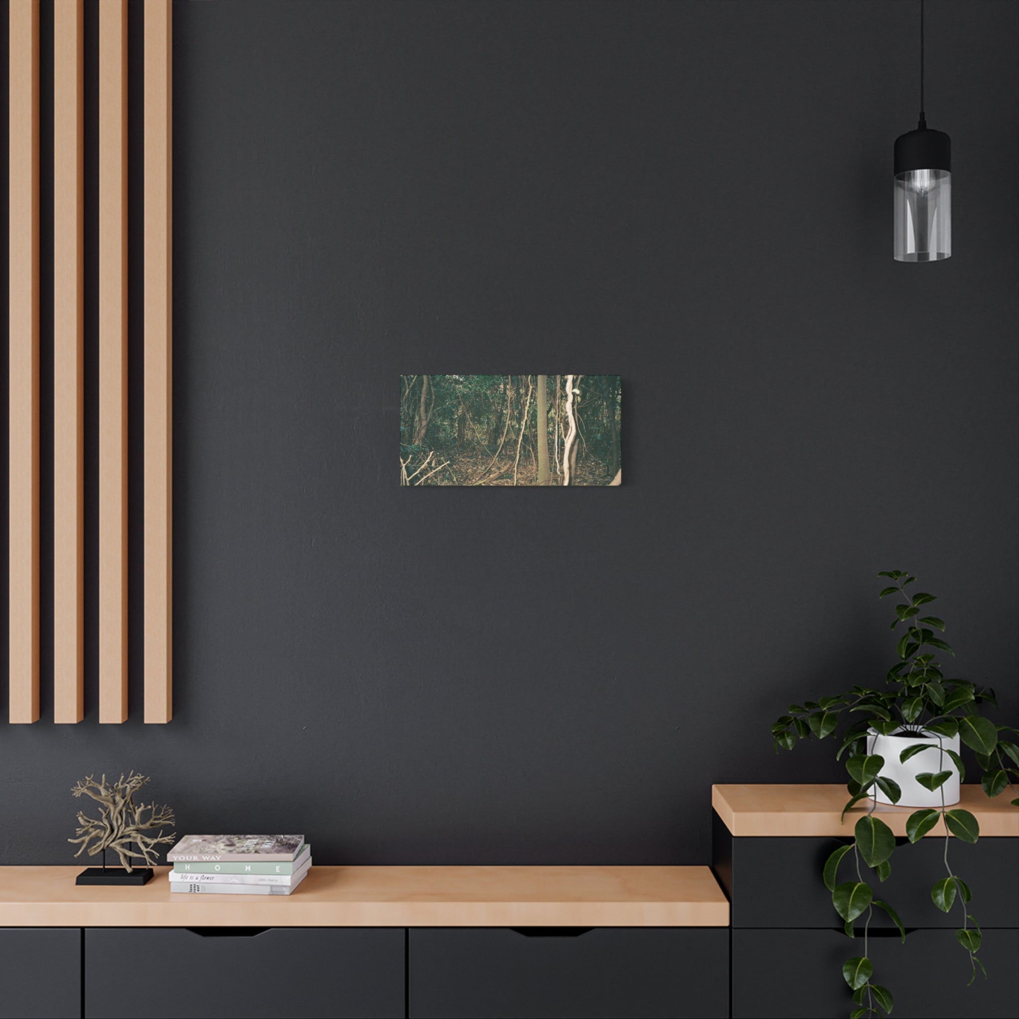 Jeju Gotjawal Forest Canvas Print