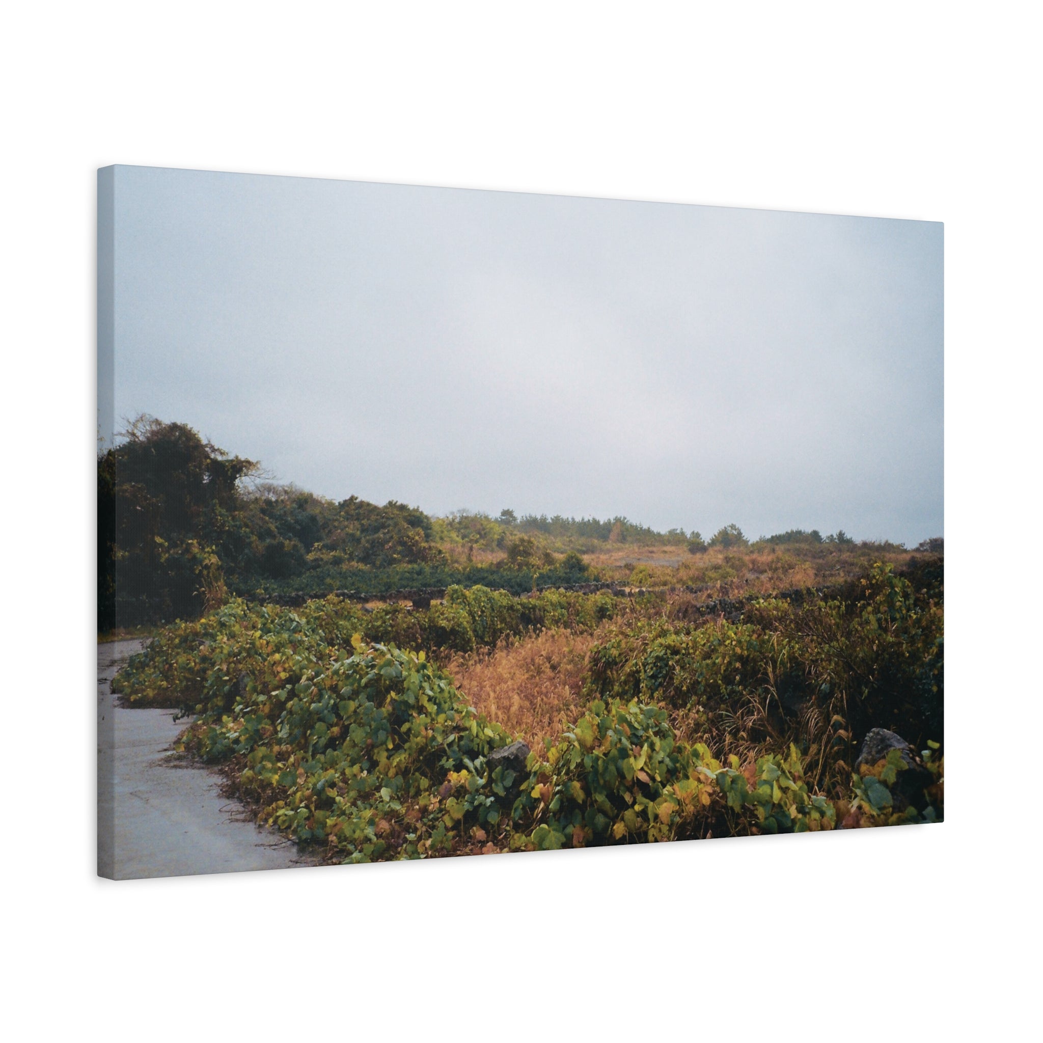 Jeju Rainy Countryside Path Canvas Print — Matte Stretched Wall Art