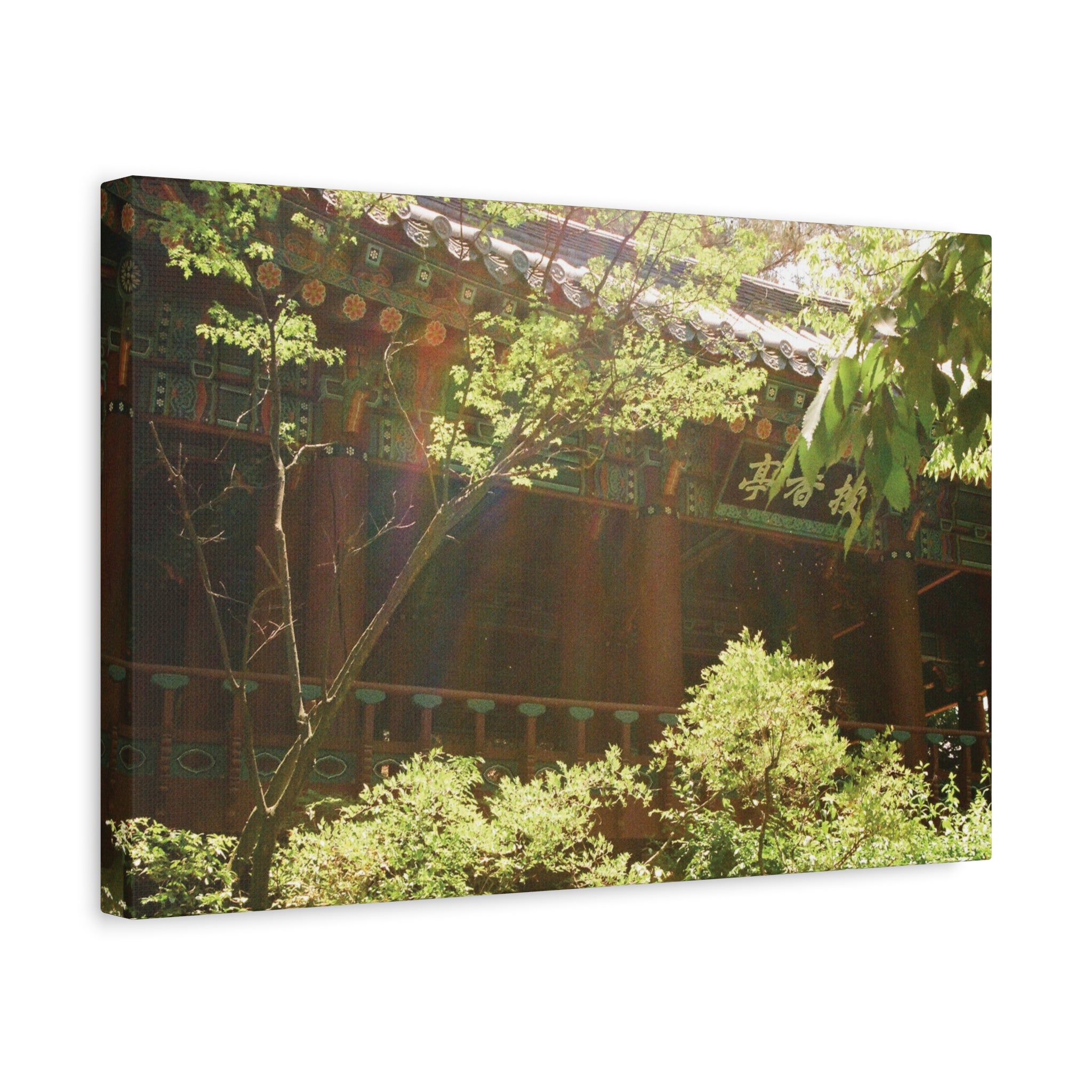 Korean Hanok Spring Sunshine Canvas Print — Emerald Leaves, Matte Stretched Canvas