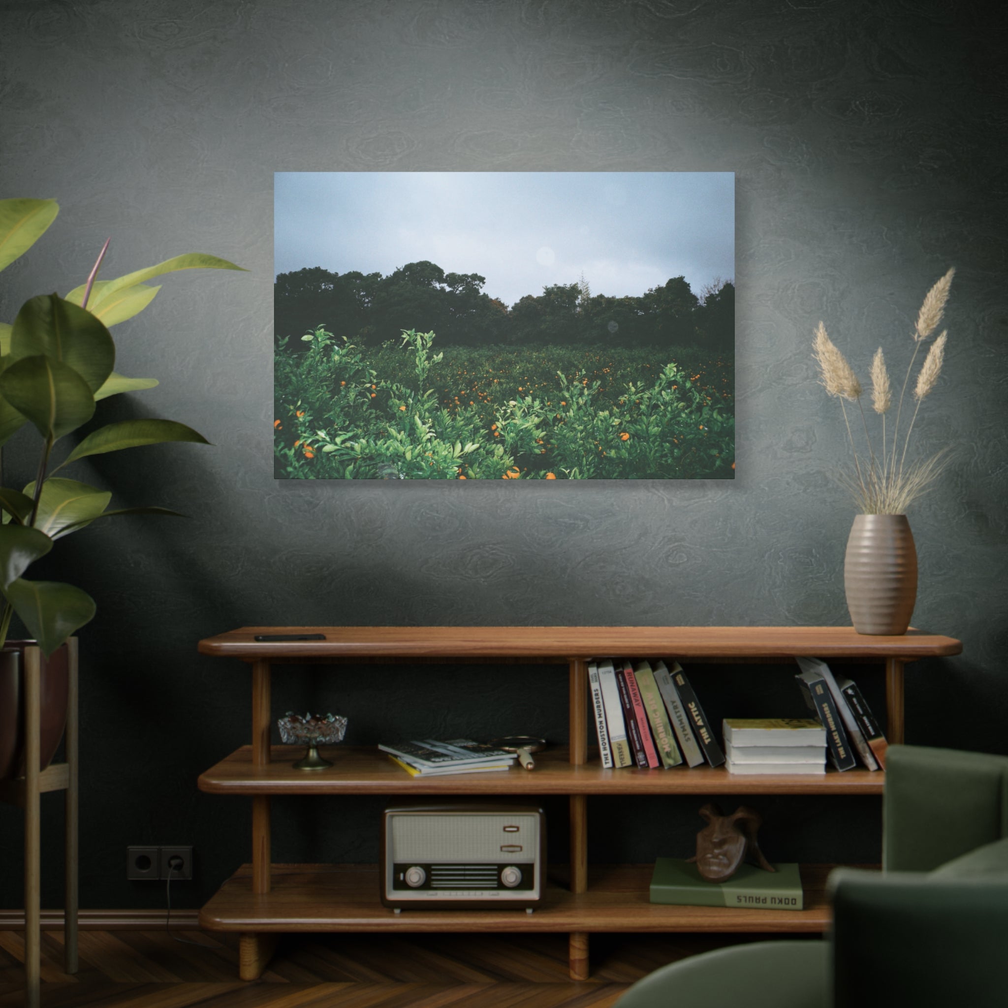 Jeju Winter Snowy Tangerine Orchard Canvas Print