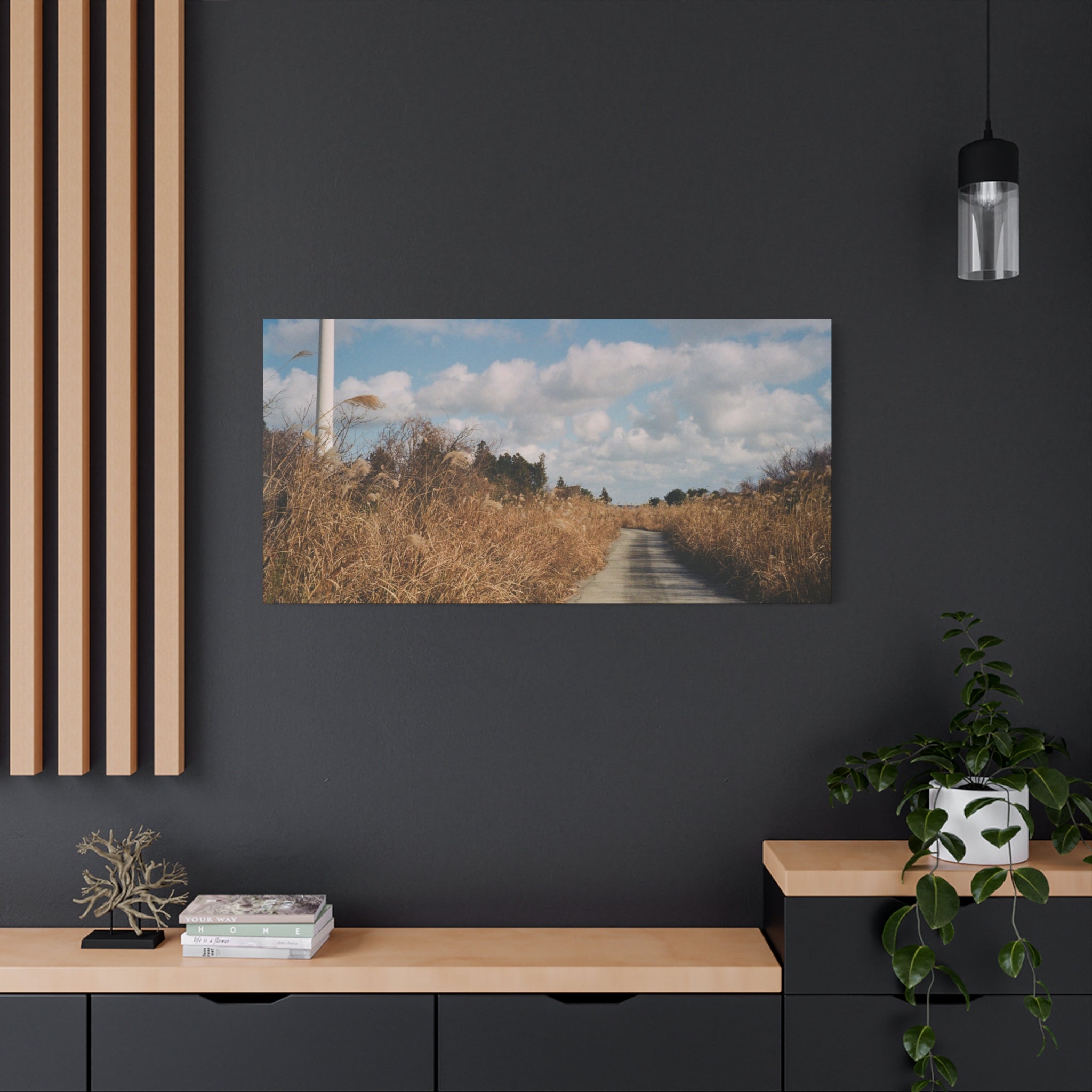 Jeju Gotjawal Winter Silver Grass Canvas Print