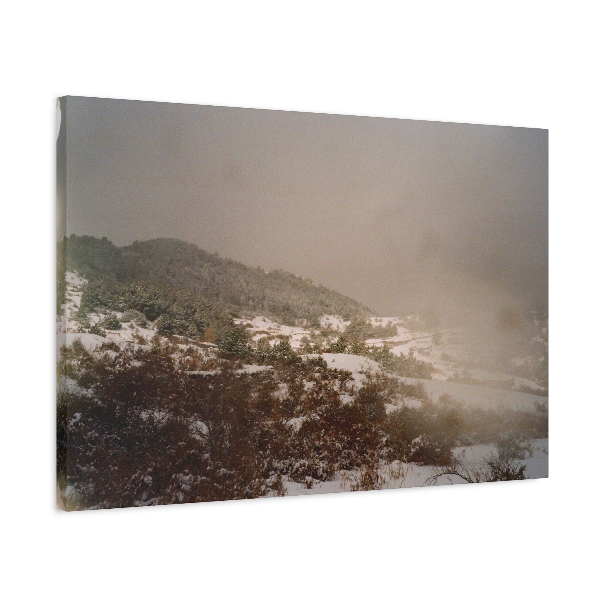 Jeju Snowy Oreum Winter Canvas Print — Evergreen Pine Forest on Snowy Day (Matte Stretched)