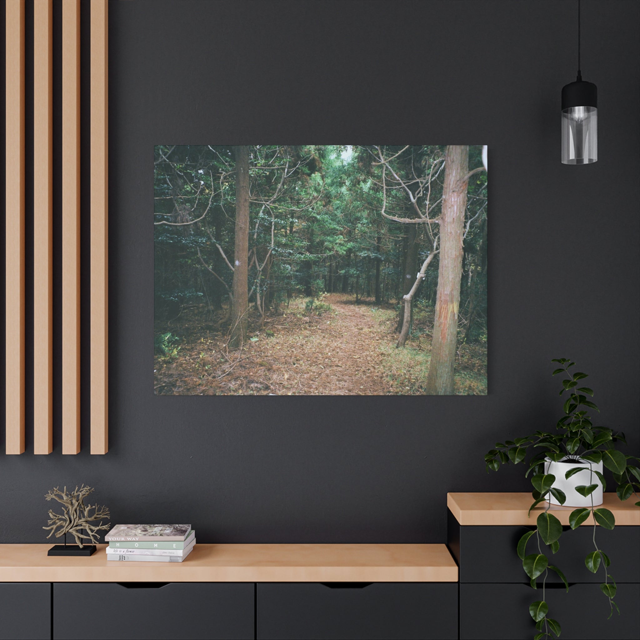 Jeju Winter Oreum Forest Canvas Print