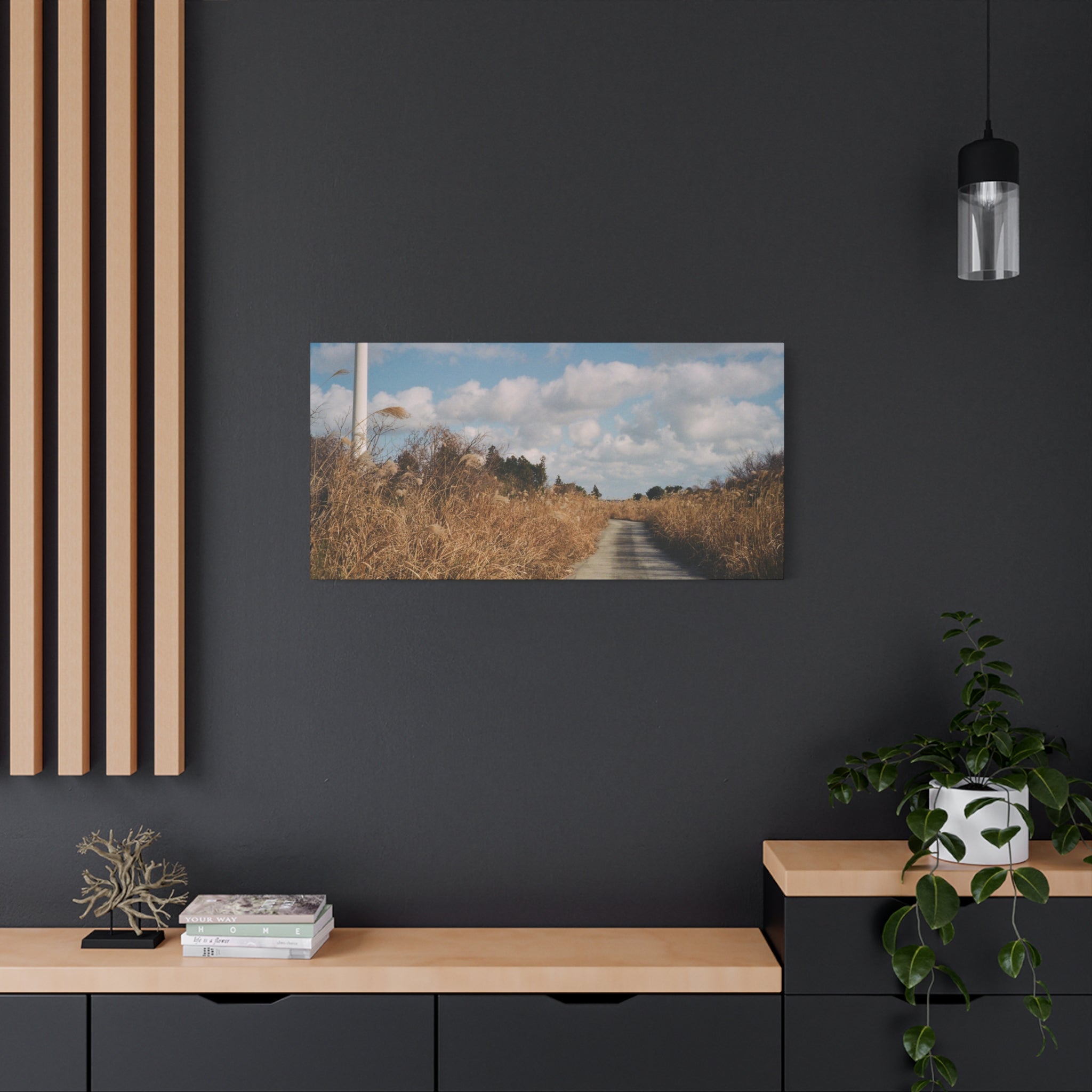 Jeju Gotjawal Winter Silver Grass Canvas Print