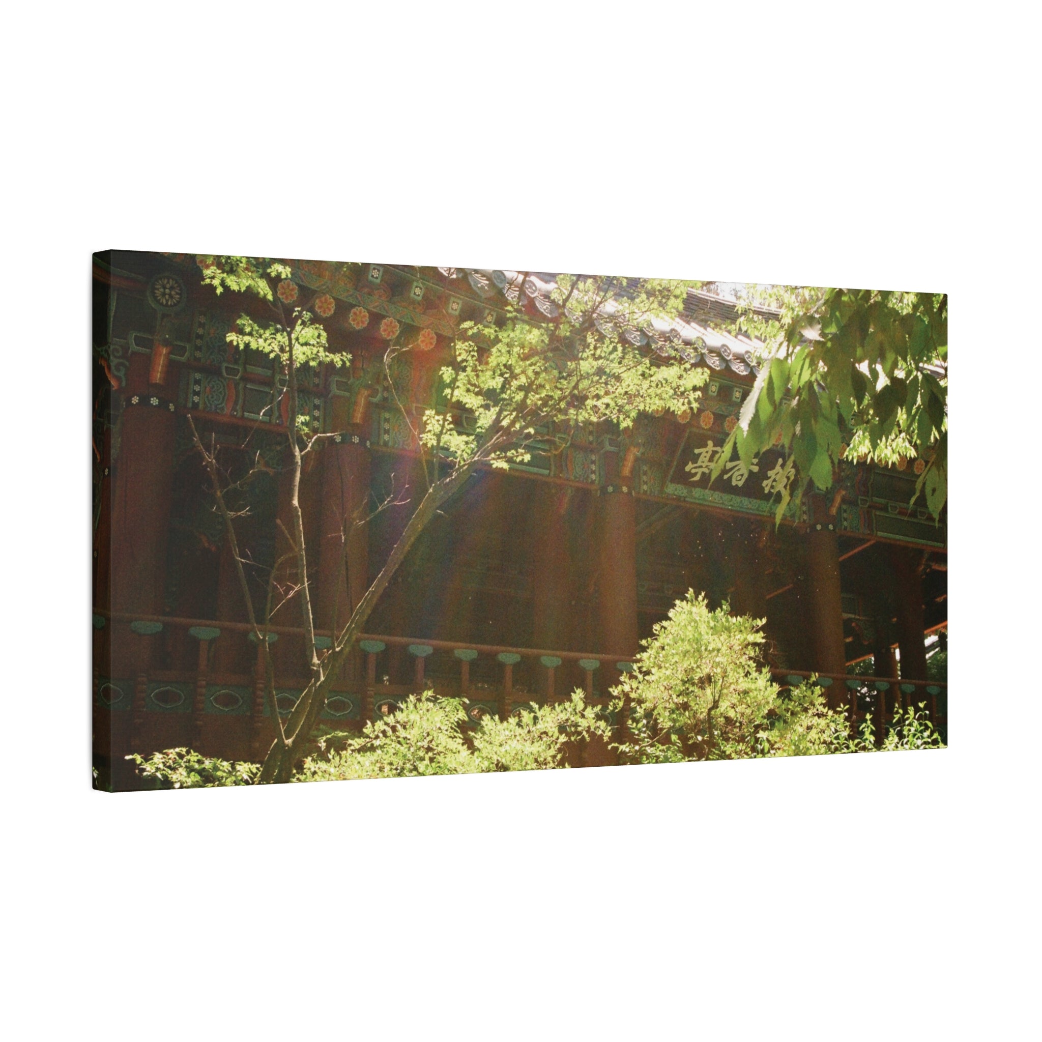 Korean Hanok Spring Sunshine Canvas Print