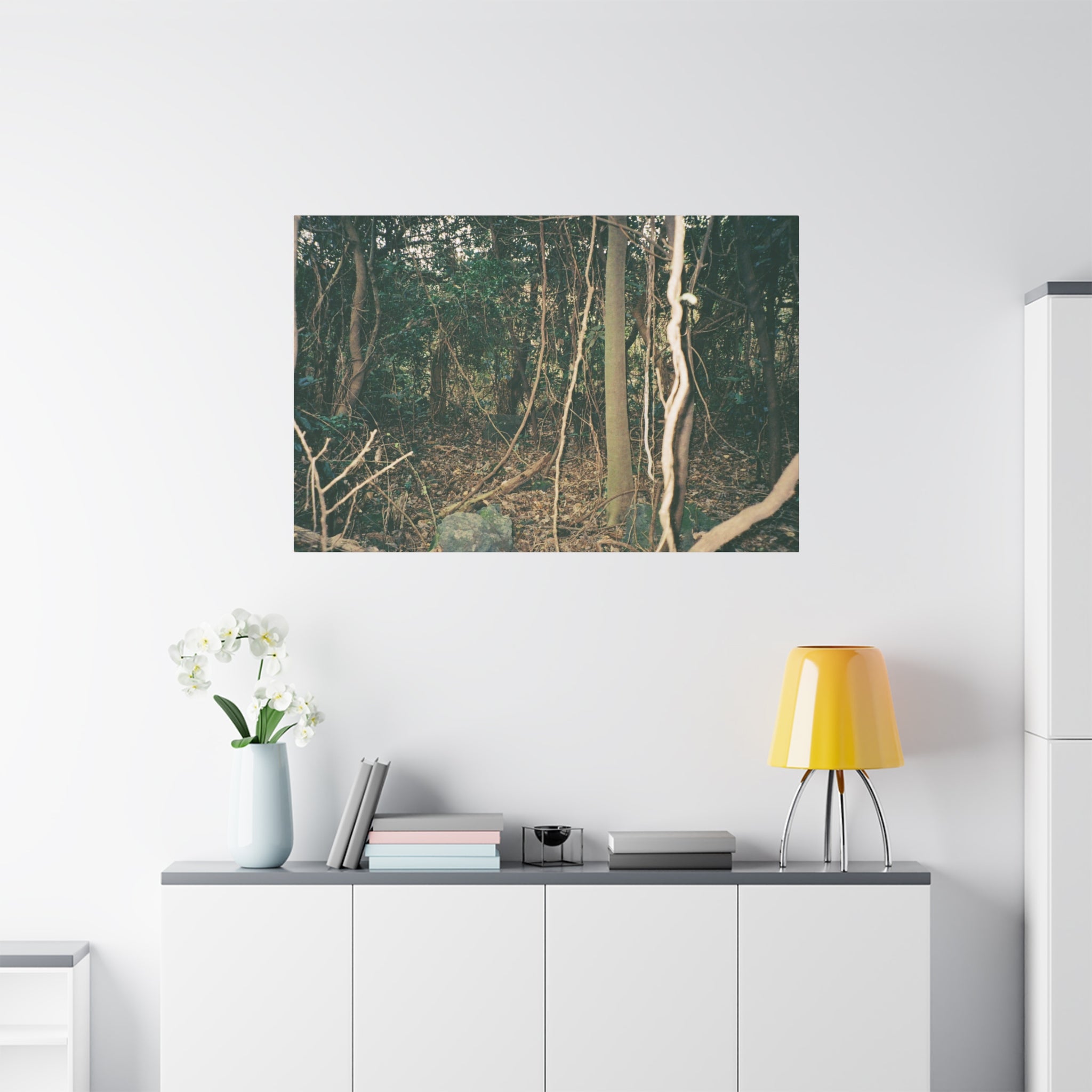 Jeju Gotjawal Forest Canvas Print