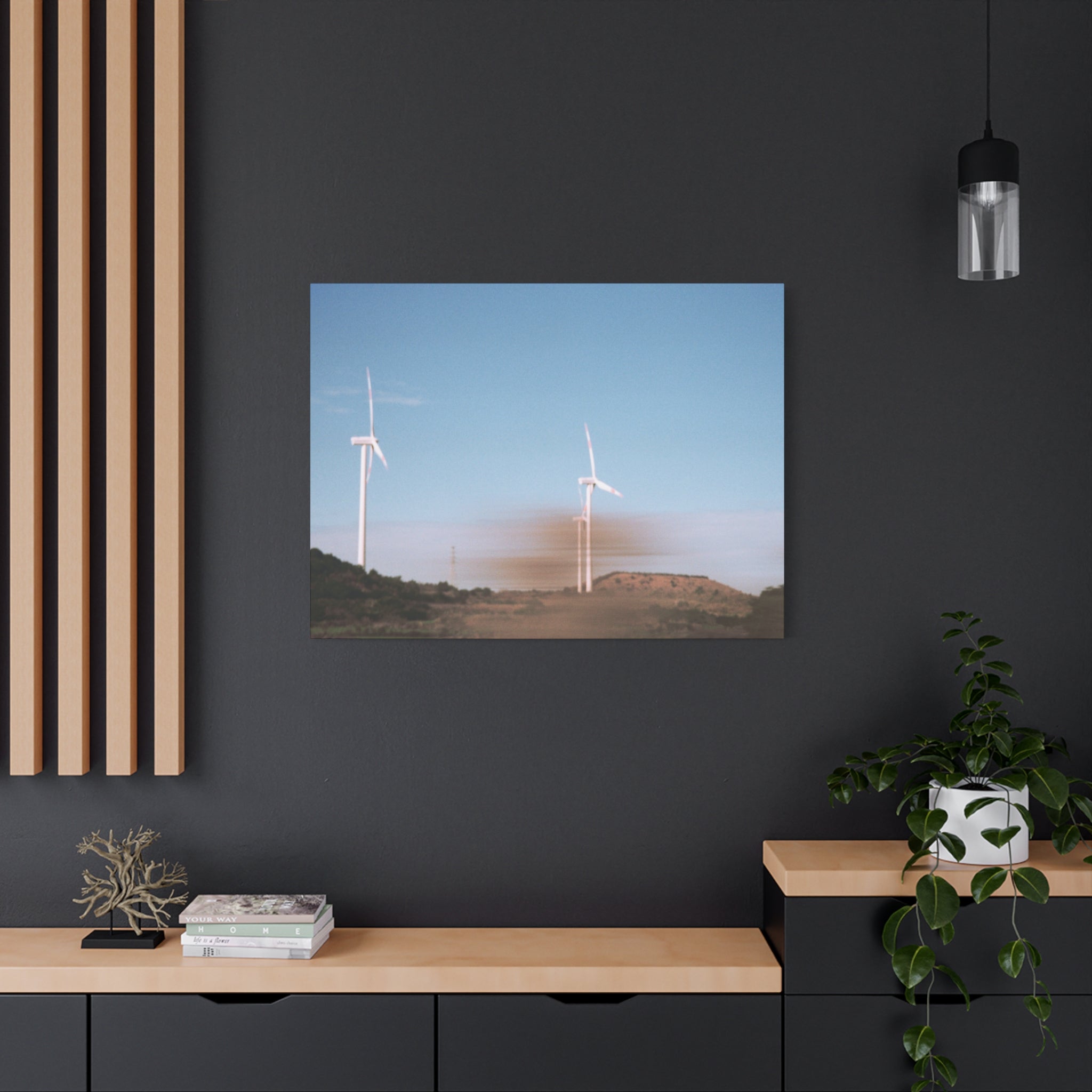 Jeju Winter Silver Grass Canvas Print