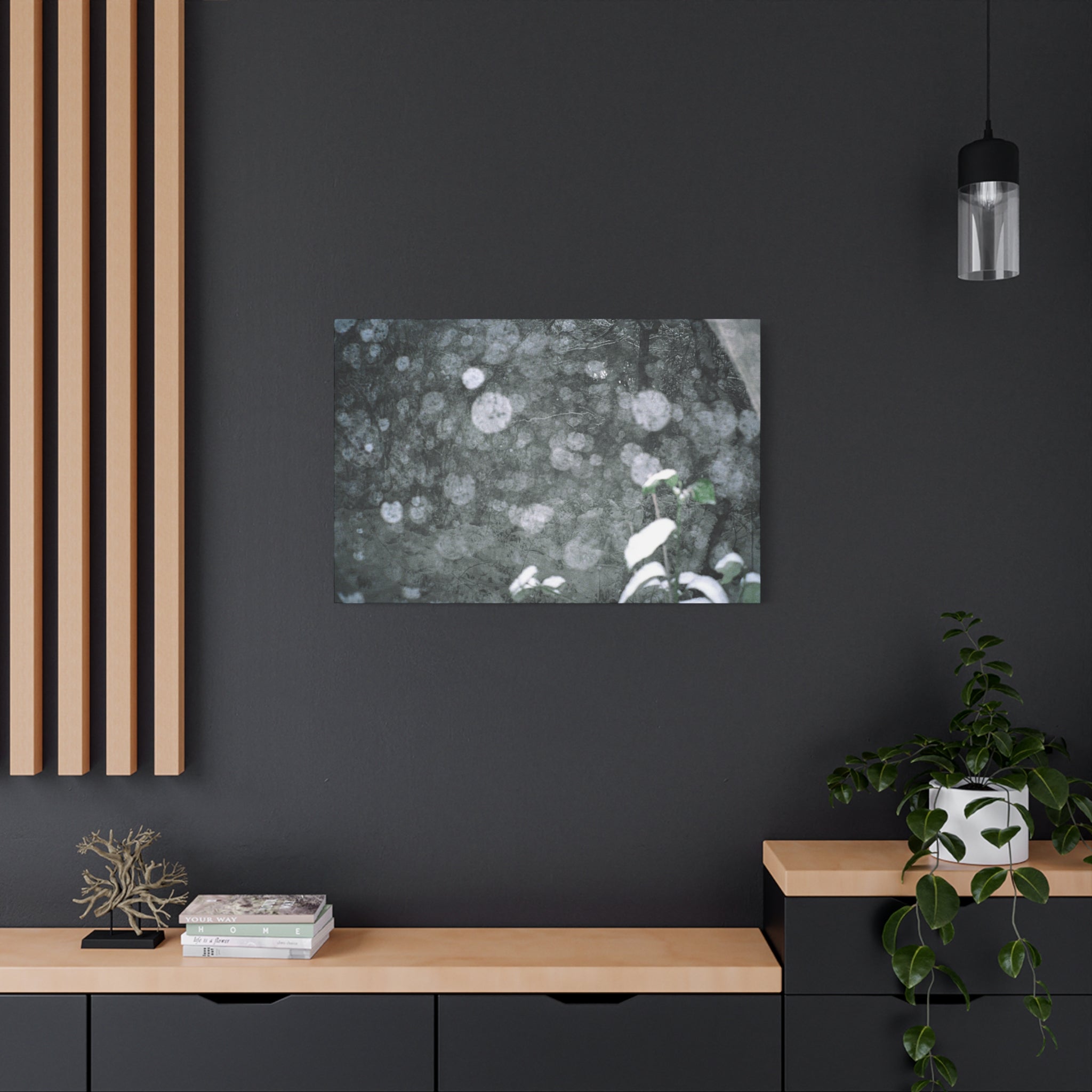 Jeju Snowy Gotjawal Forest Canvas Print