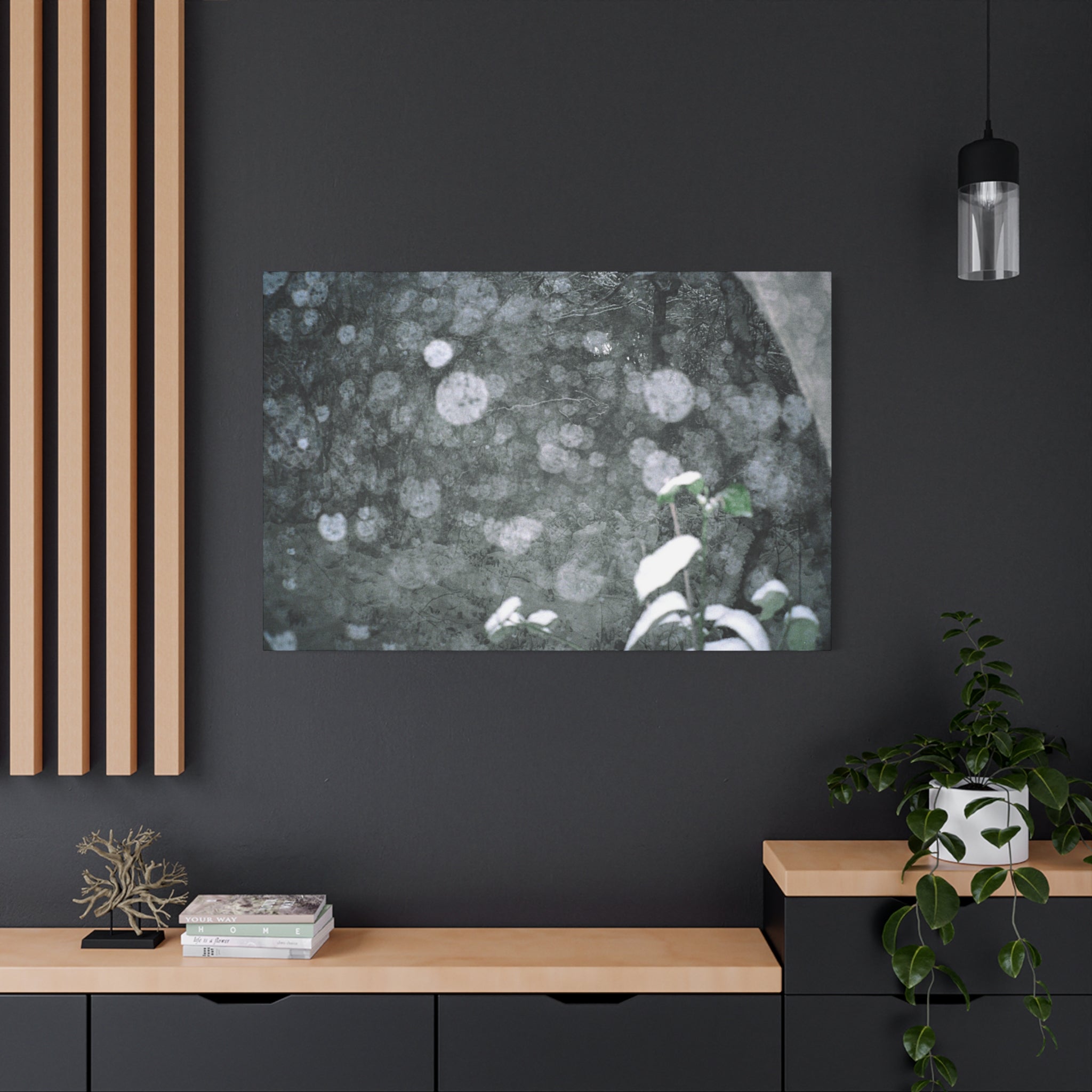 Jeju Snowy Gotjawal Forest Canvas Print
