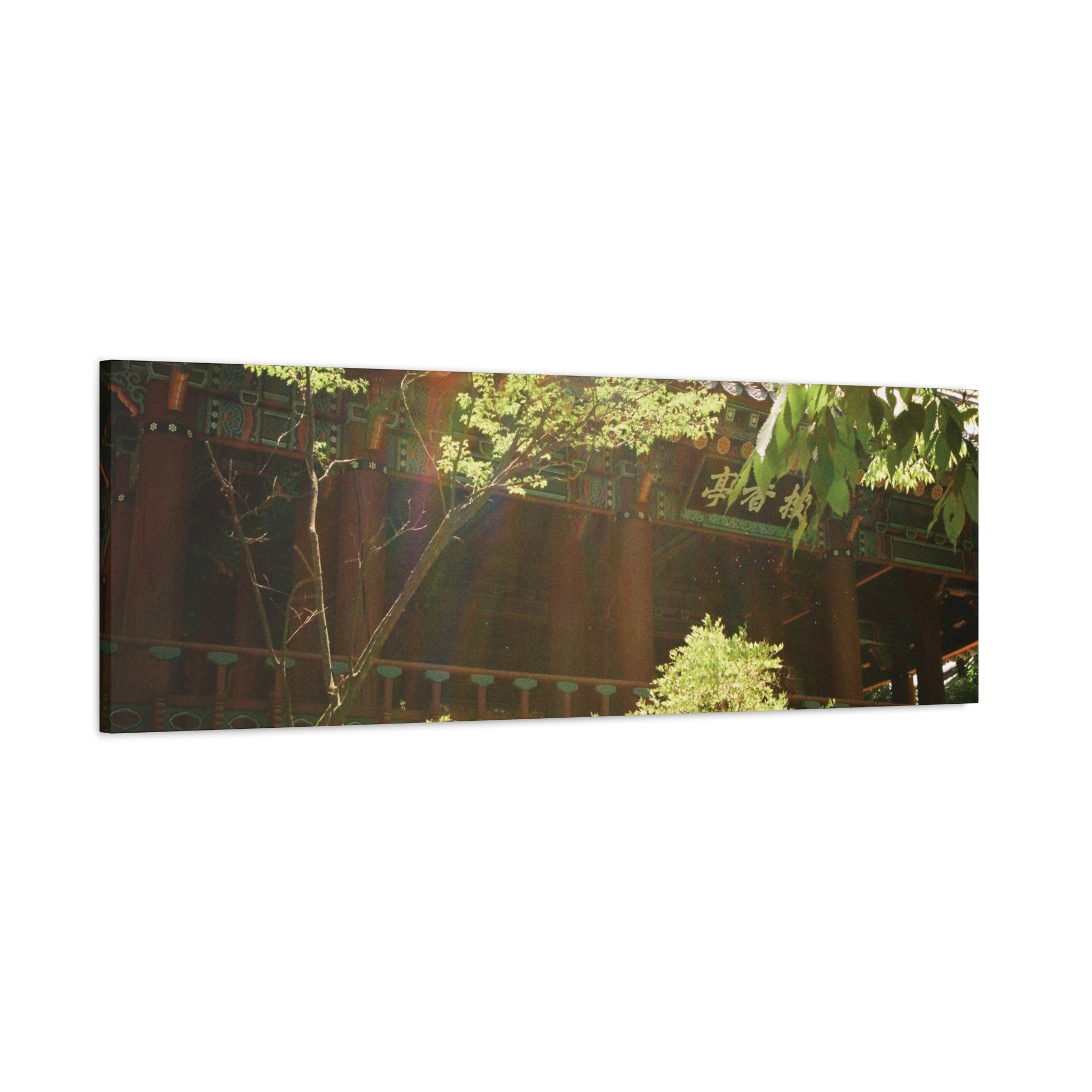 Korean Hanok Spring Sunshine Canvas Print