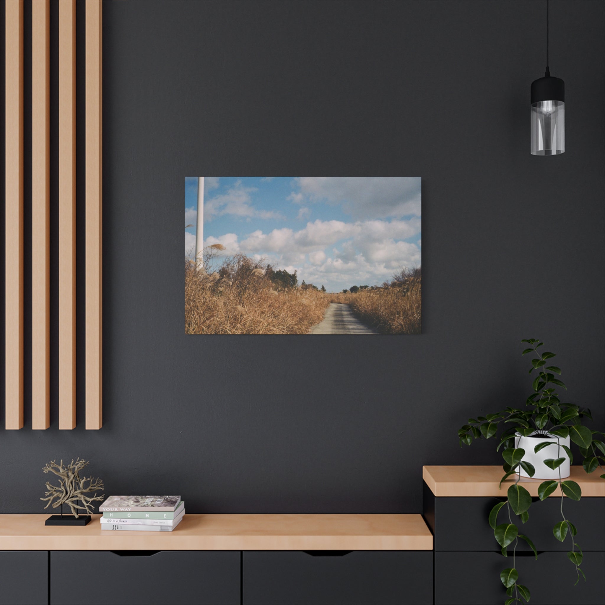 Jeju Gotjawal Winter Silver Grass Canvas Print
