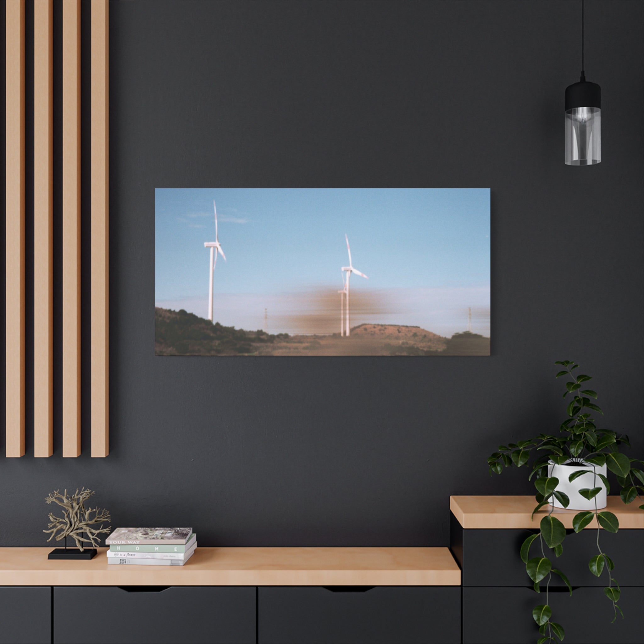 Jeju Winter Silver Grass Canvas Print