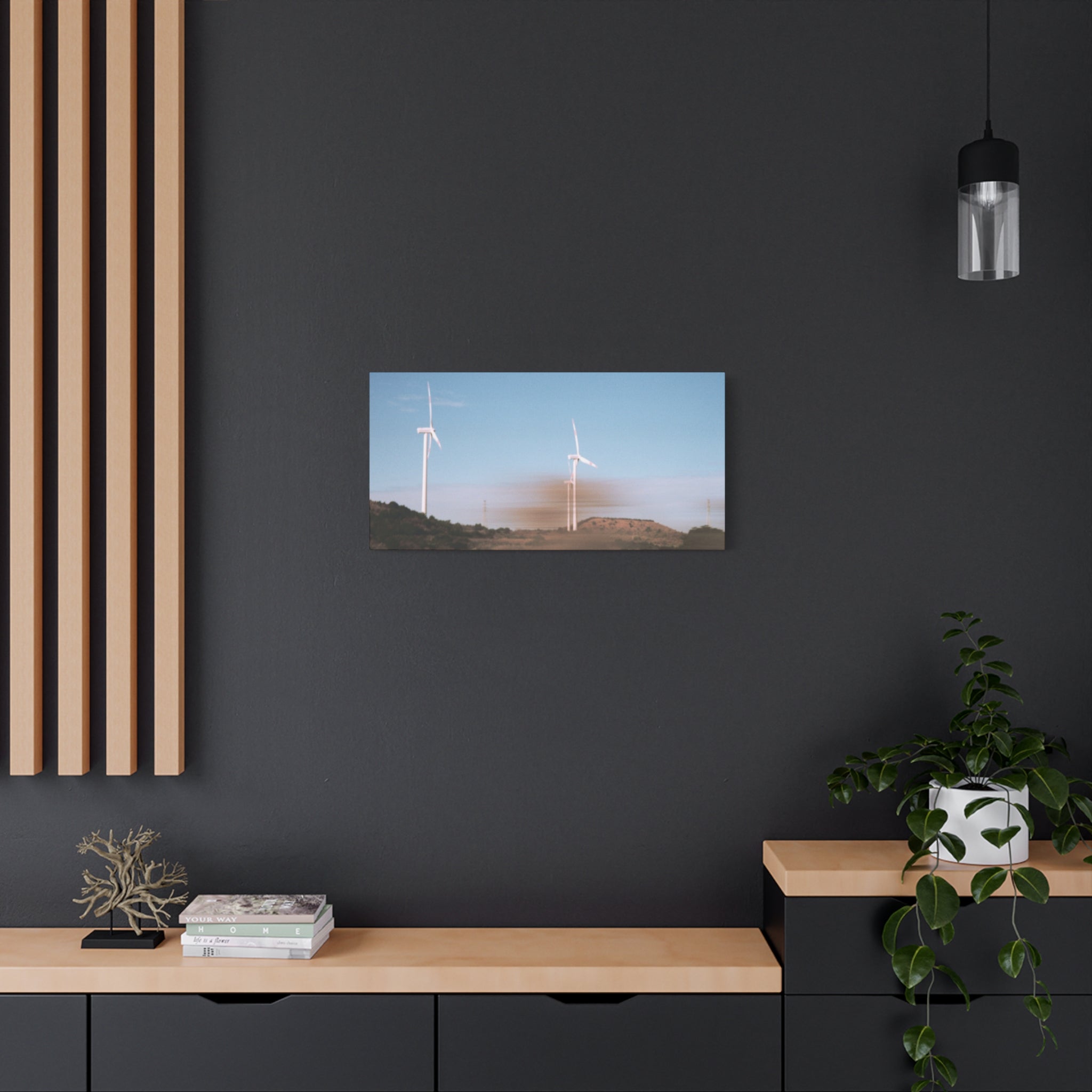Jeju Winter Silver Grass Canvas Print