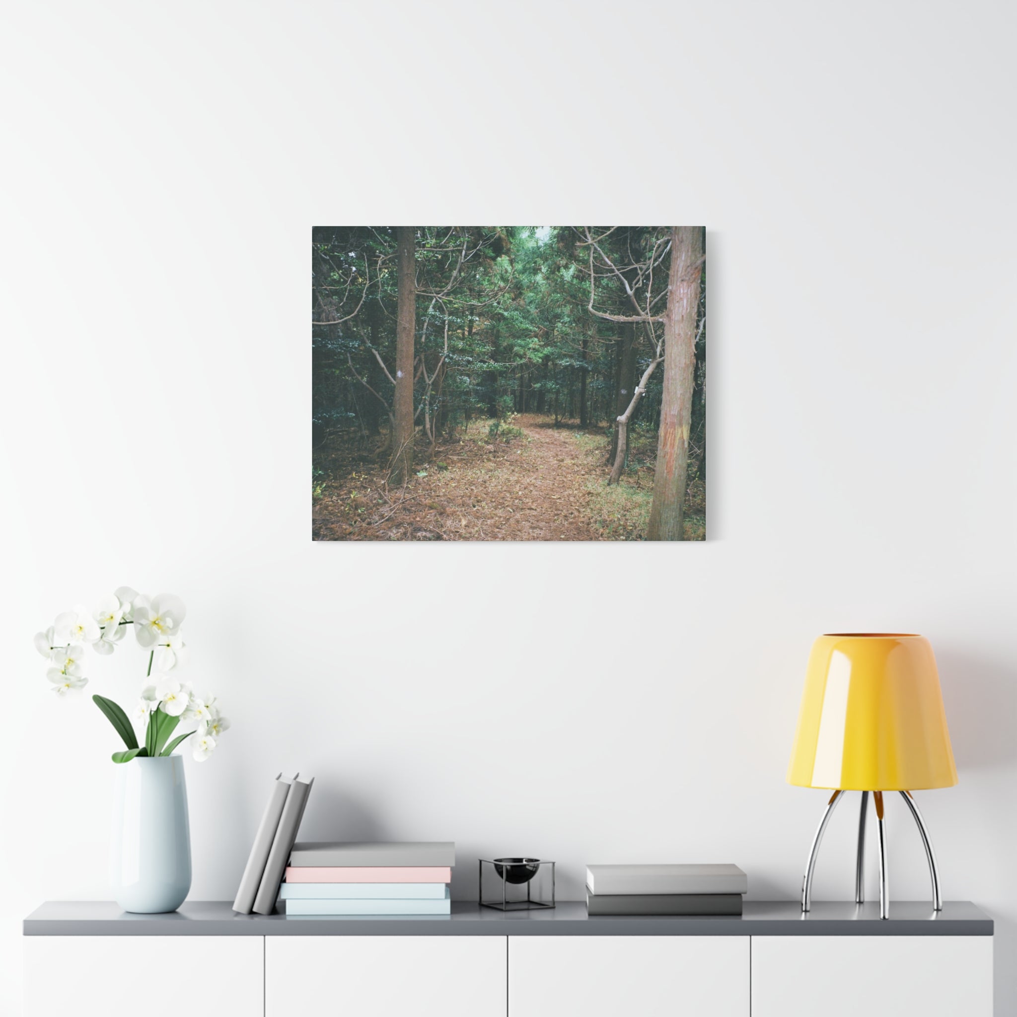 Jeju Winter Oreum Forest Canvas Print