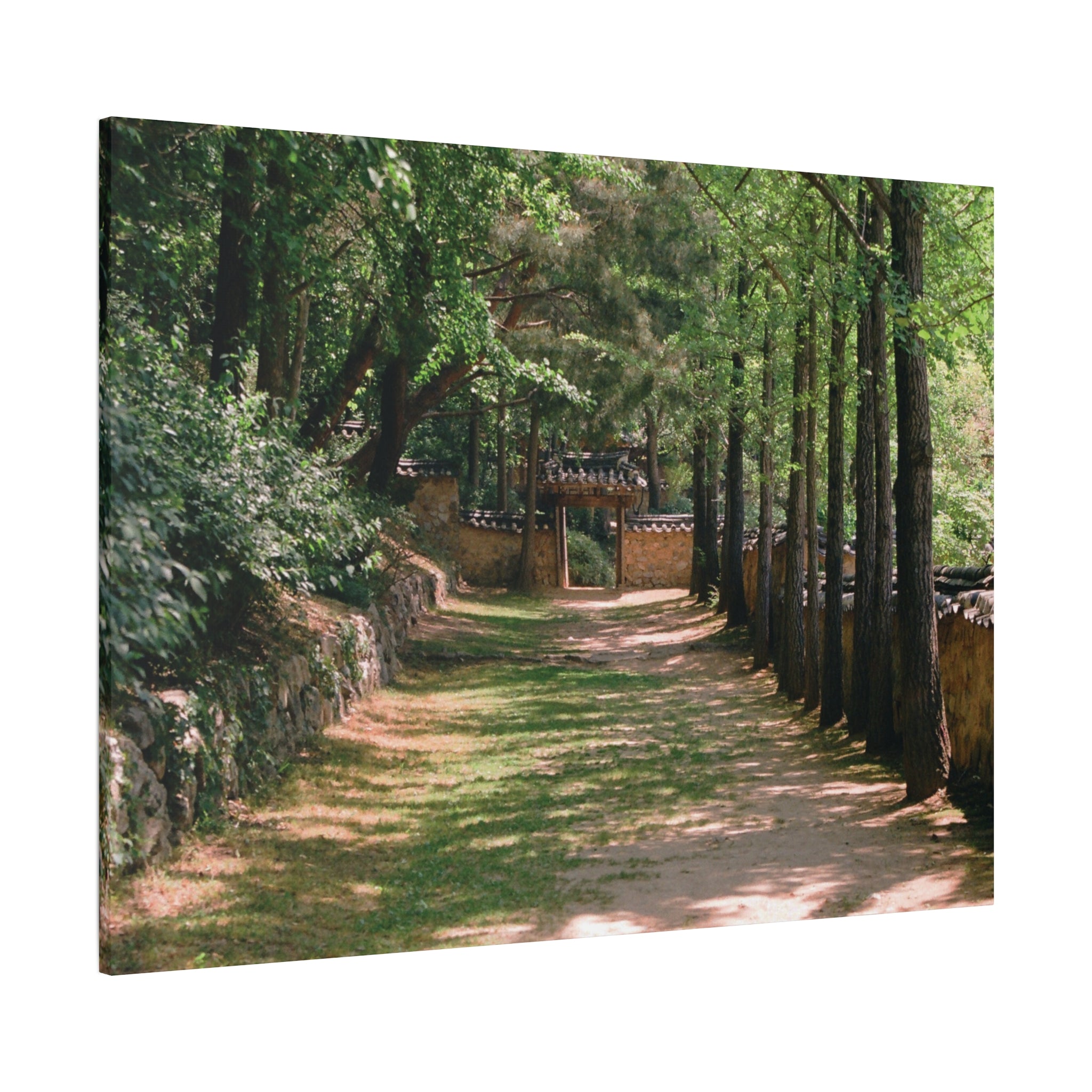 Korean Yongin Folk Village Hanok Lane Canvas Print