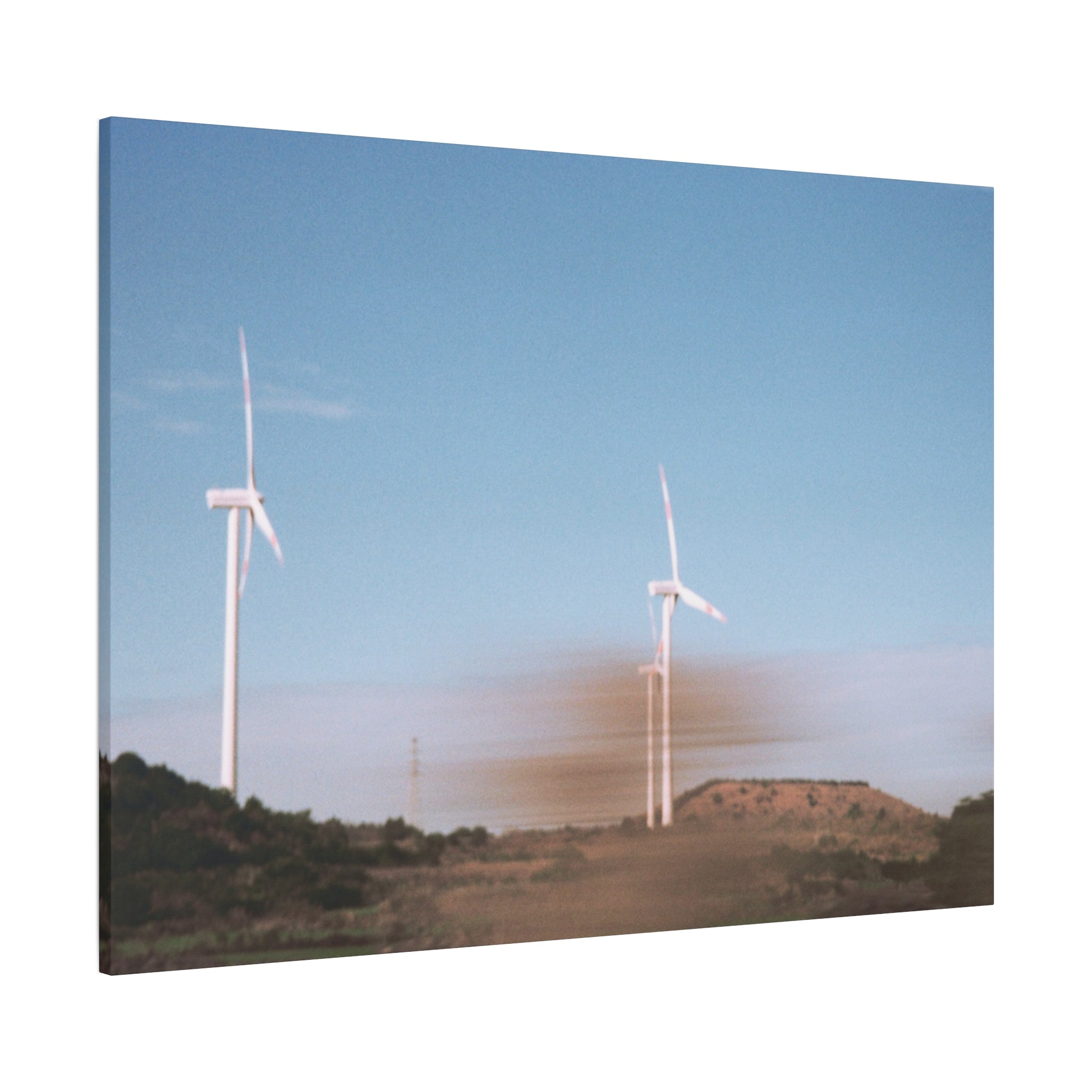 Jeju Winter Silver Grass Canvas Print