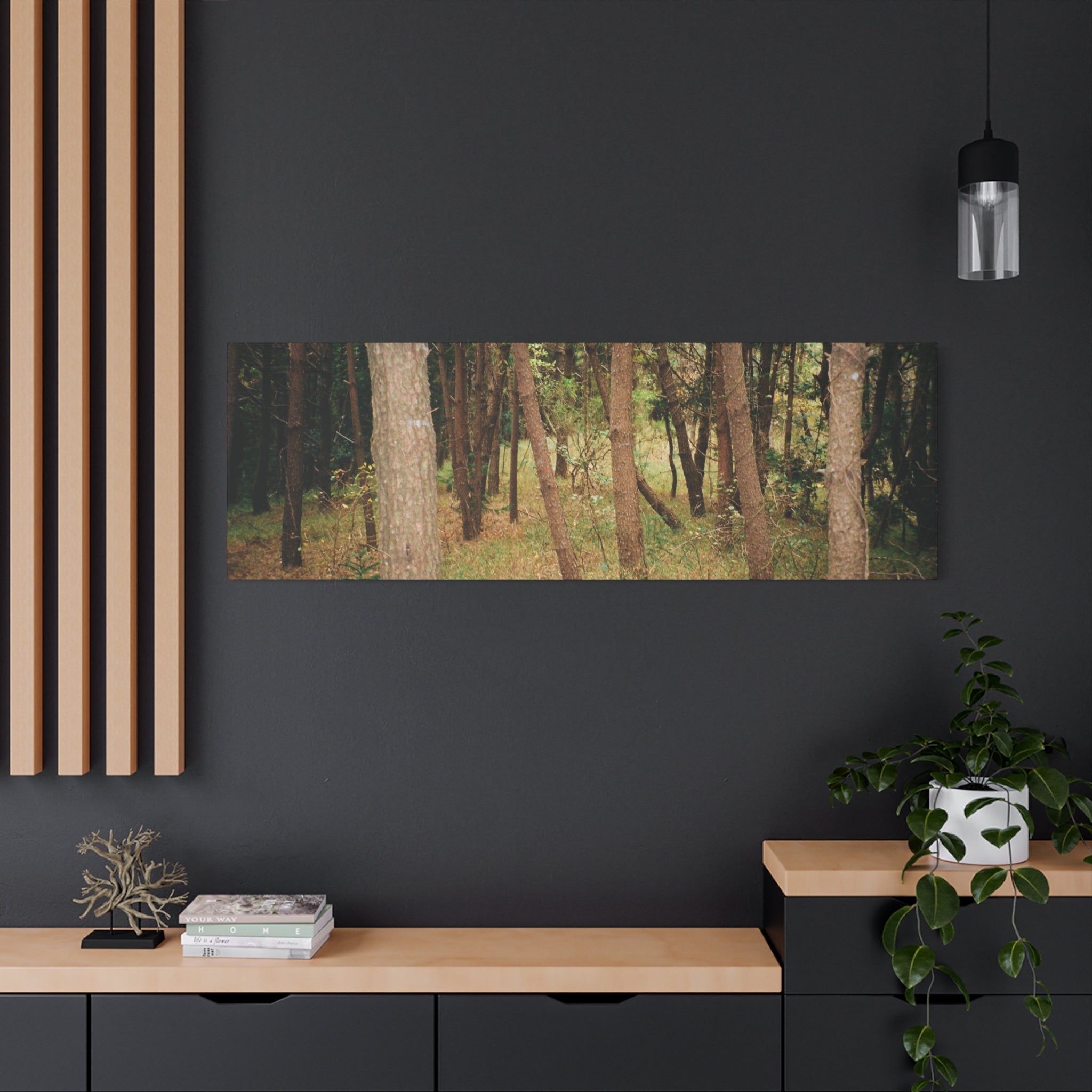 Jeju Gungdae Oreum Forest Canvas Print
