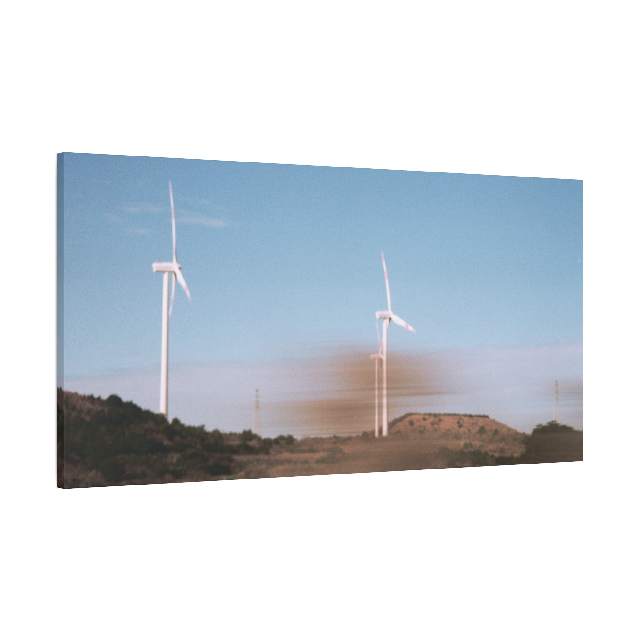 Jeju Winter Silver Grass Canvas Print
